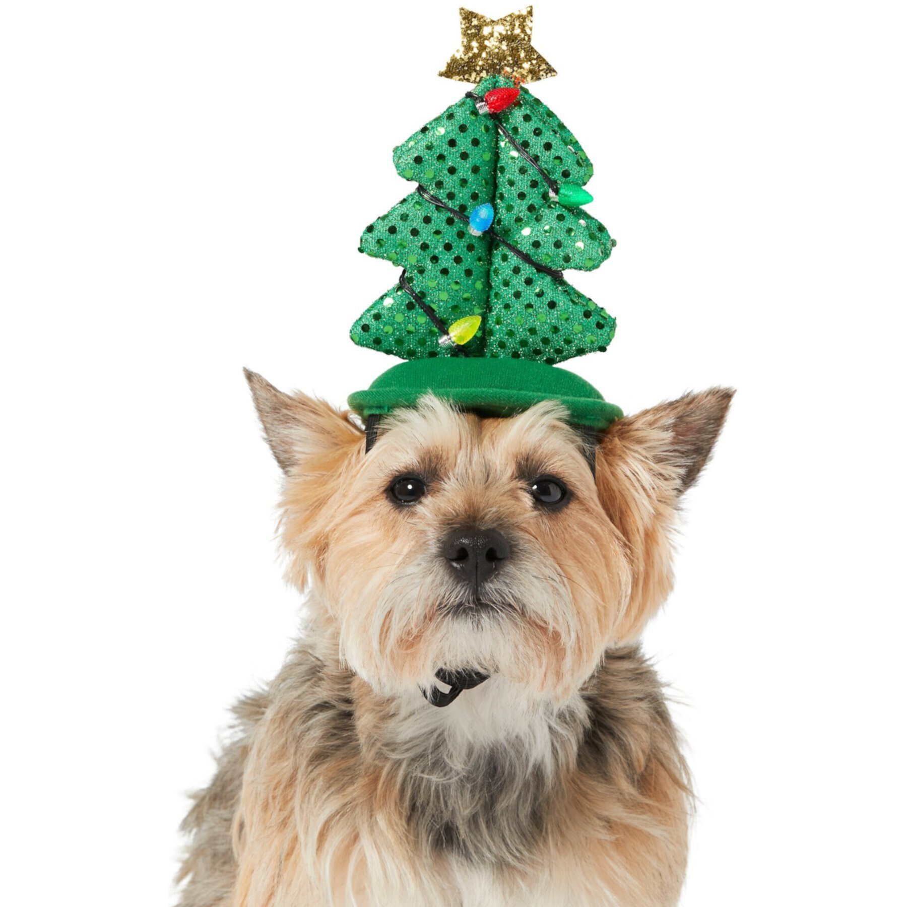 Frisco Christmas Tree LED Dog & Cat Headpiece Frisco