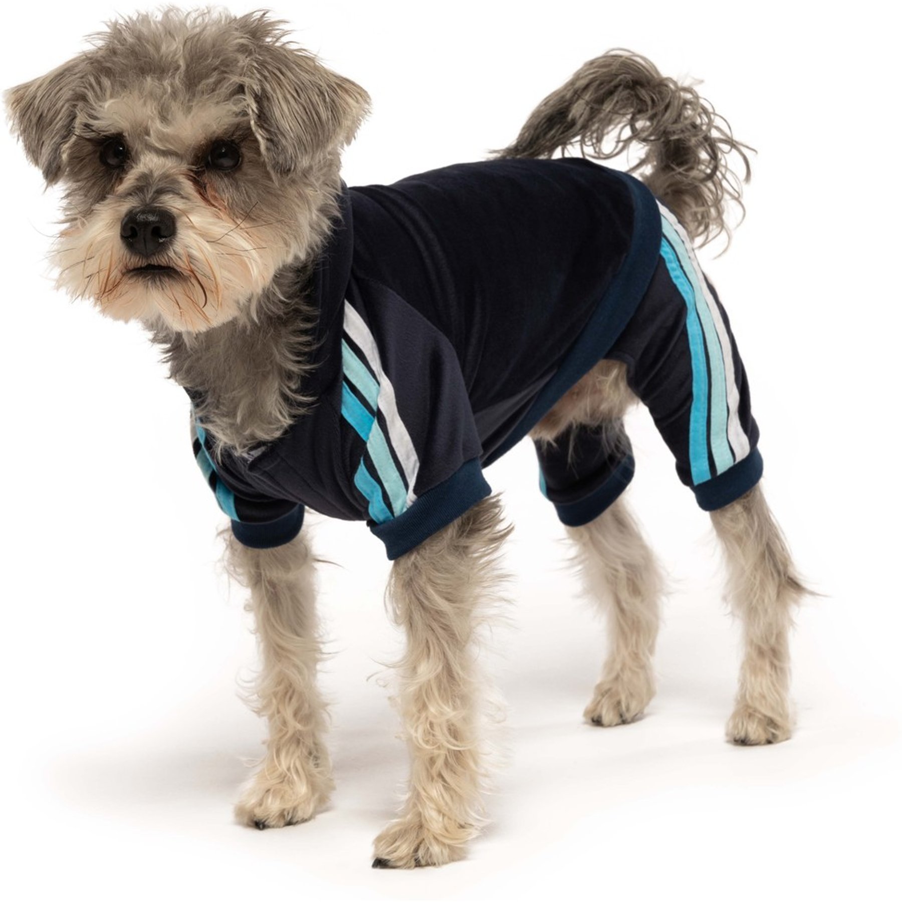 fabdog Velour Jogger Stripes Dog Sweater fabdog