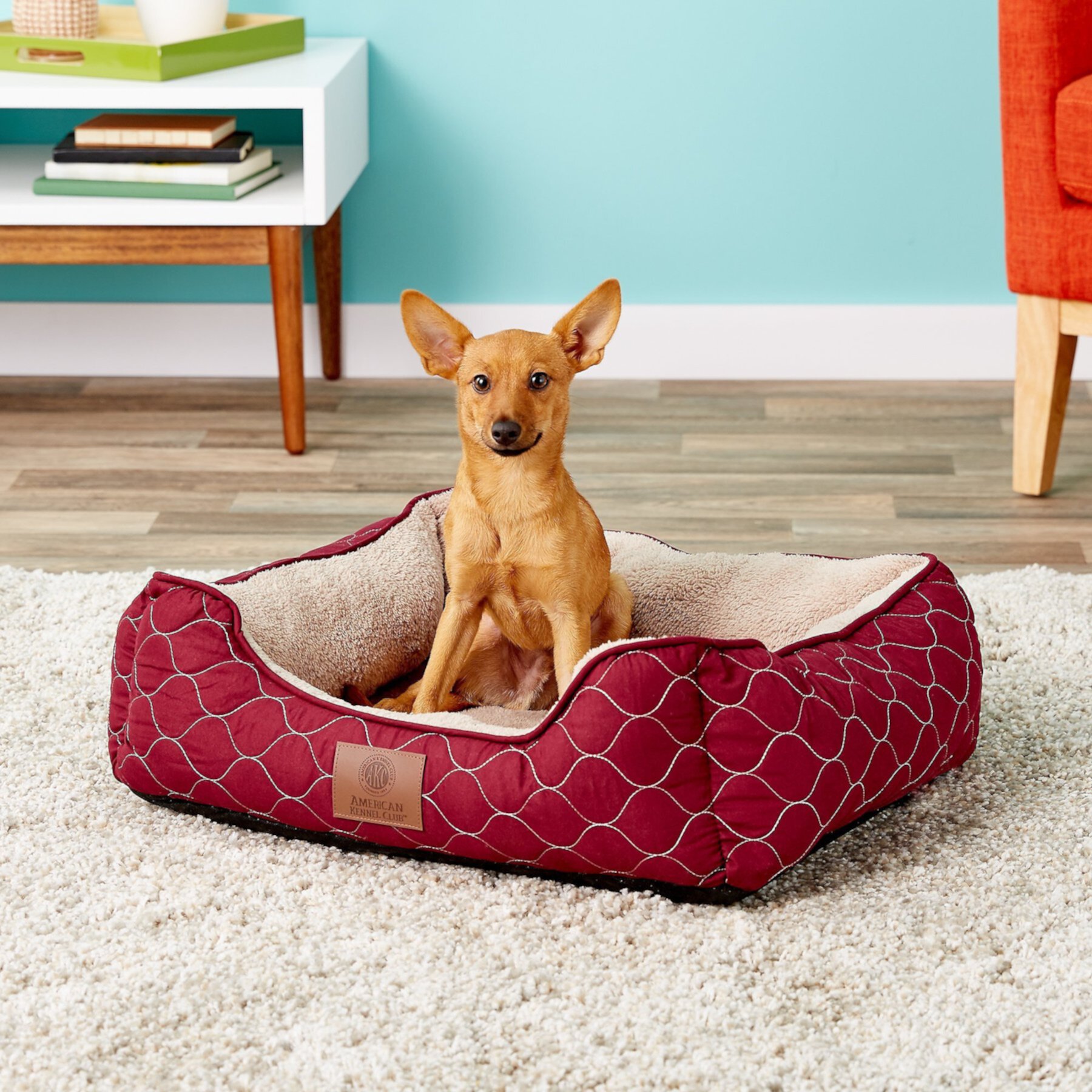 American Kennel Club AKC Circle Stitch Orthopedic Bolster Cat & Dog Bed American Kennel Club