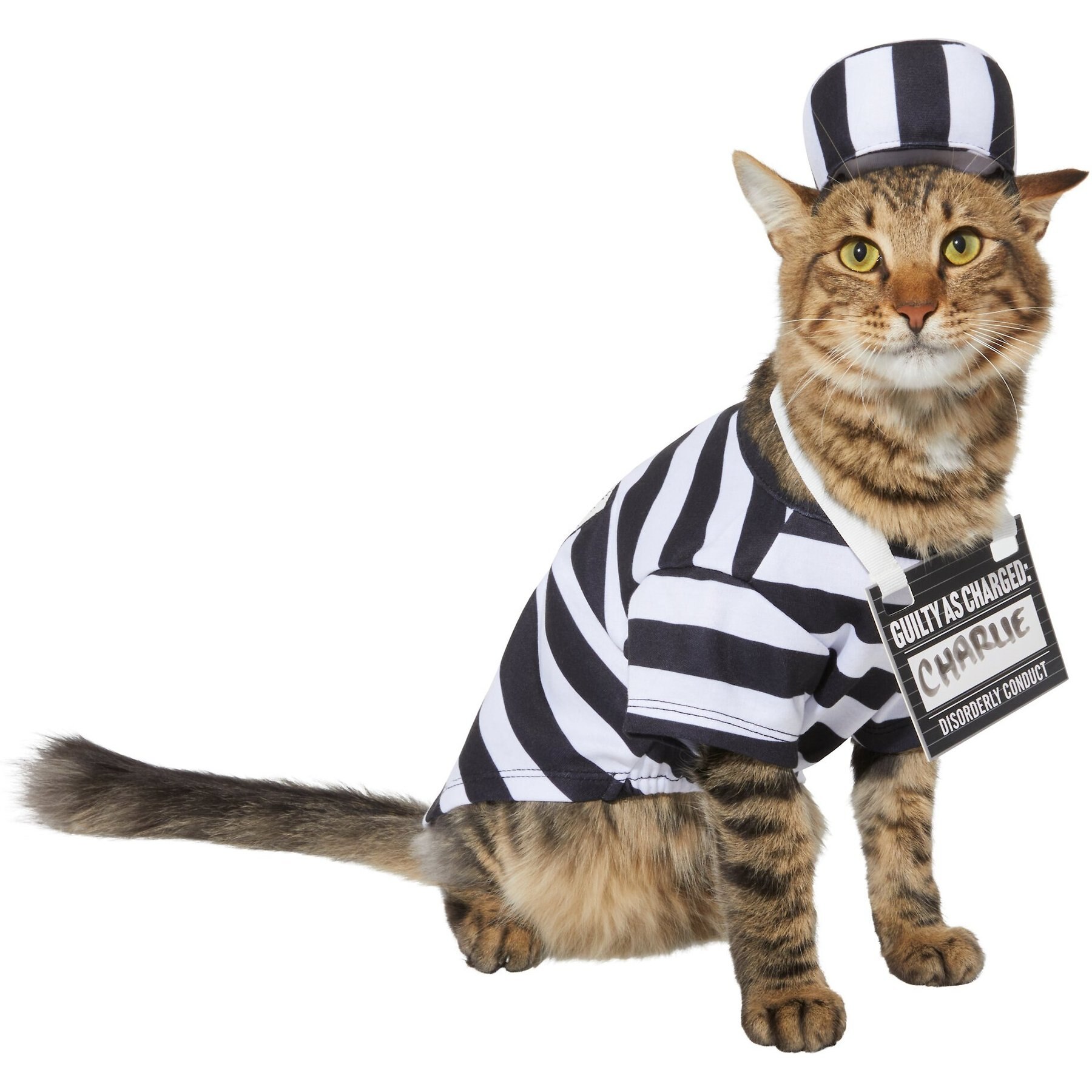 Frisco Prisoner Dog & Cat Costume Frisco