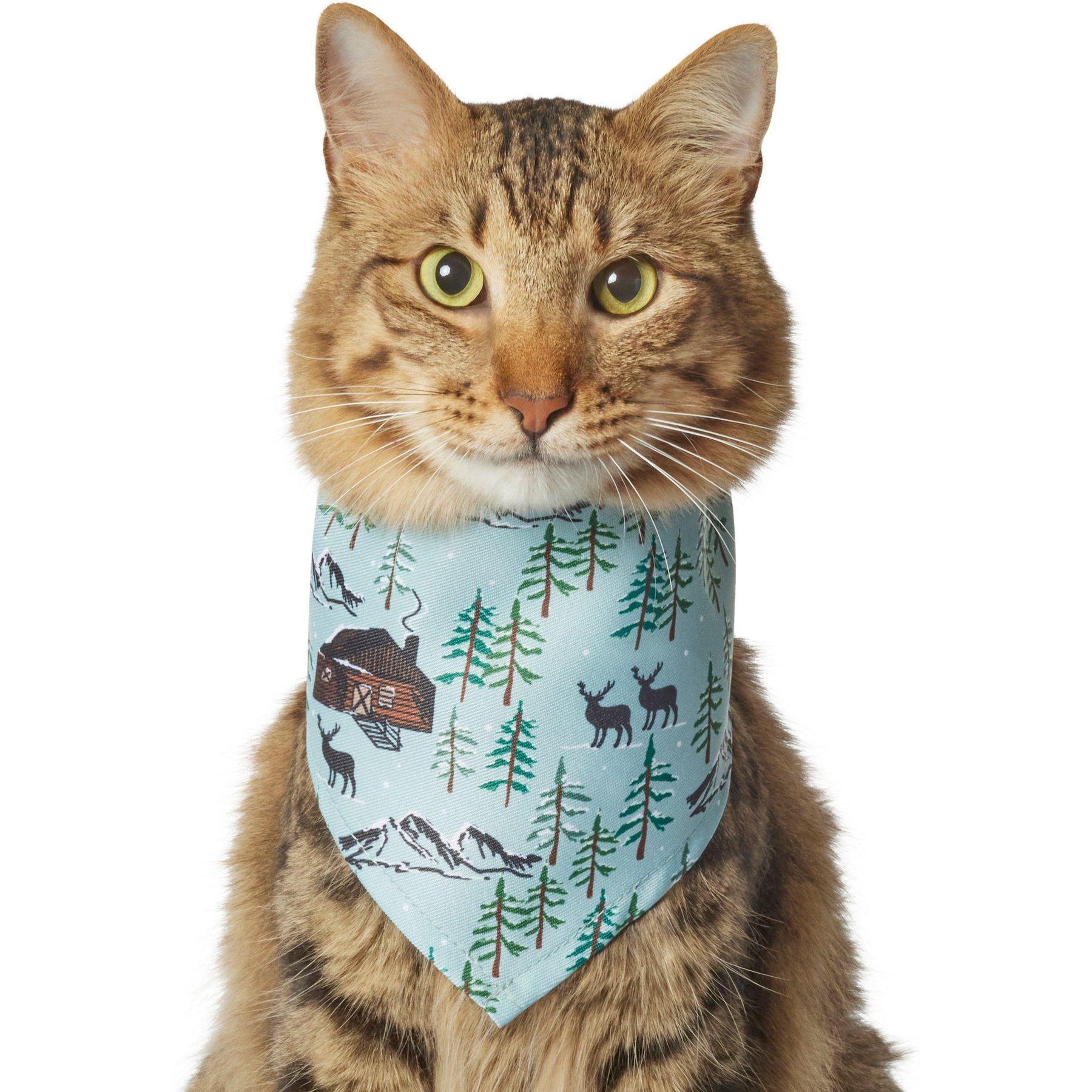 Frisco Moose Lodge Dog & Cat Bandana Frisco