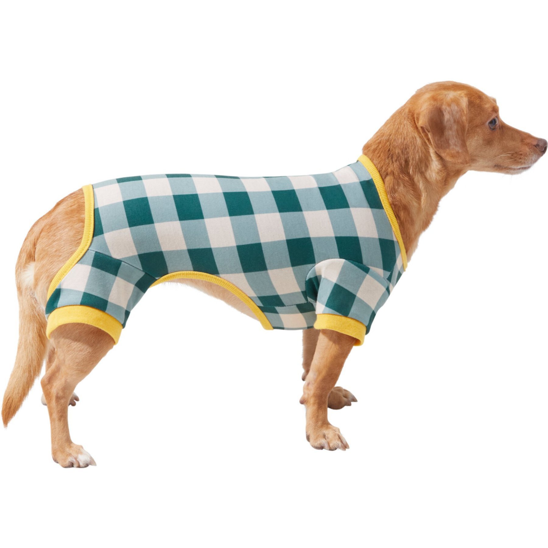 Frisco Boho Gingham Dog & Cat PJs Frisco