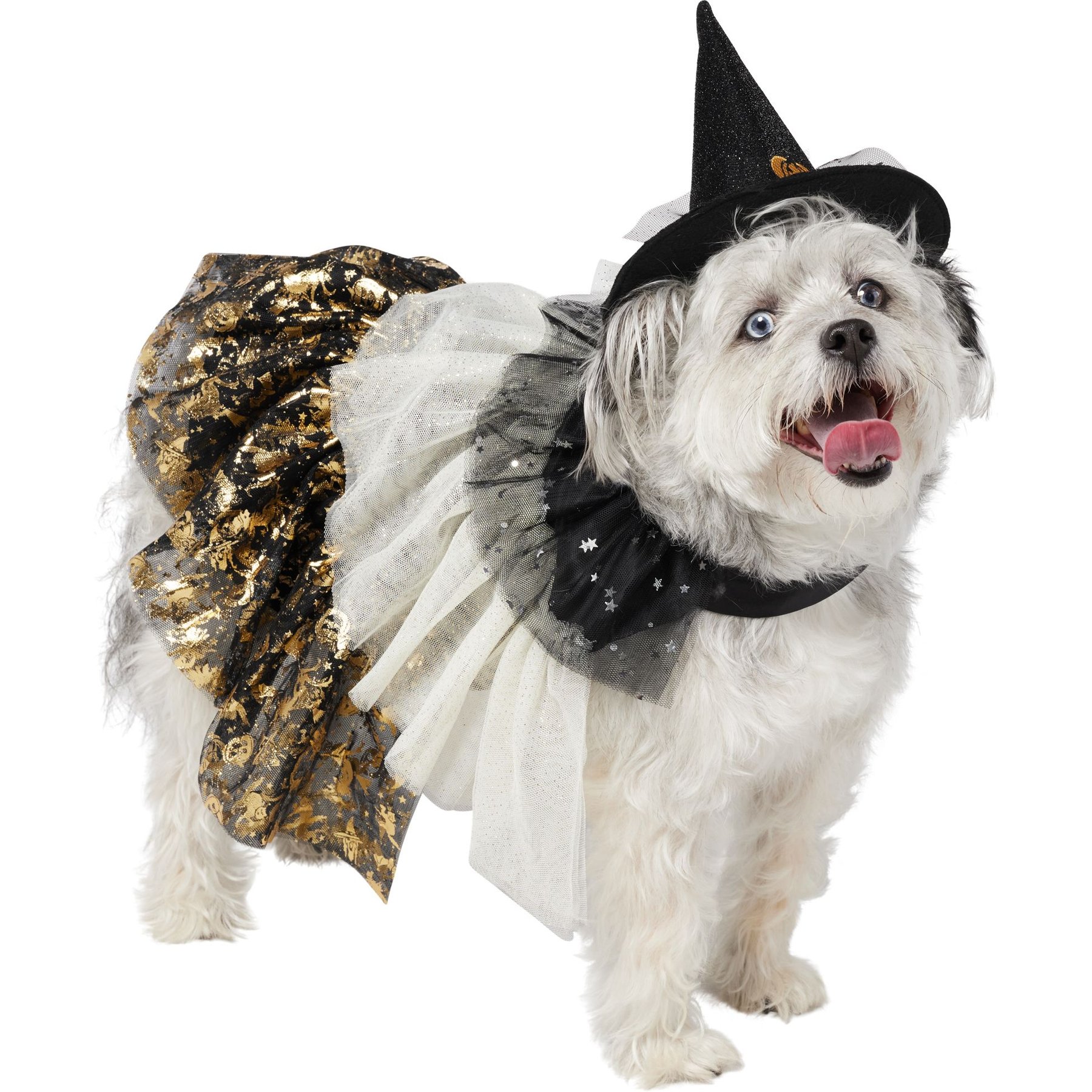 Frisco Enchanted Witch Dog & Cat Costume Accessory and Cape Frisco