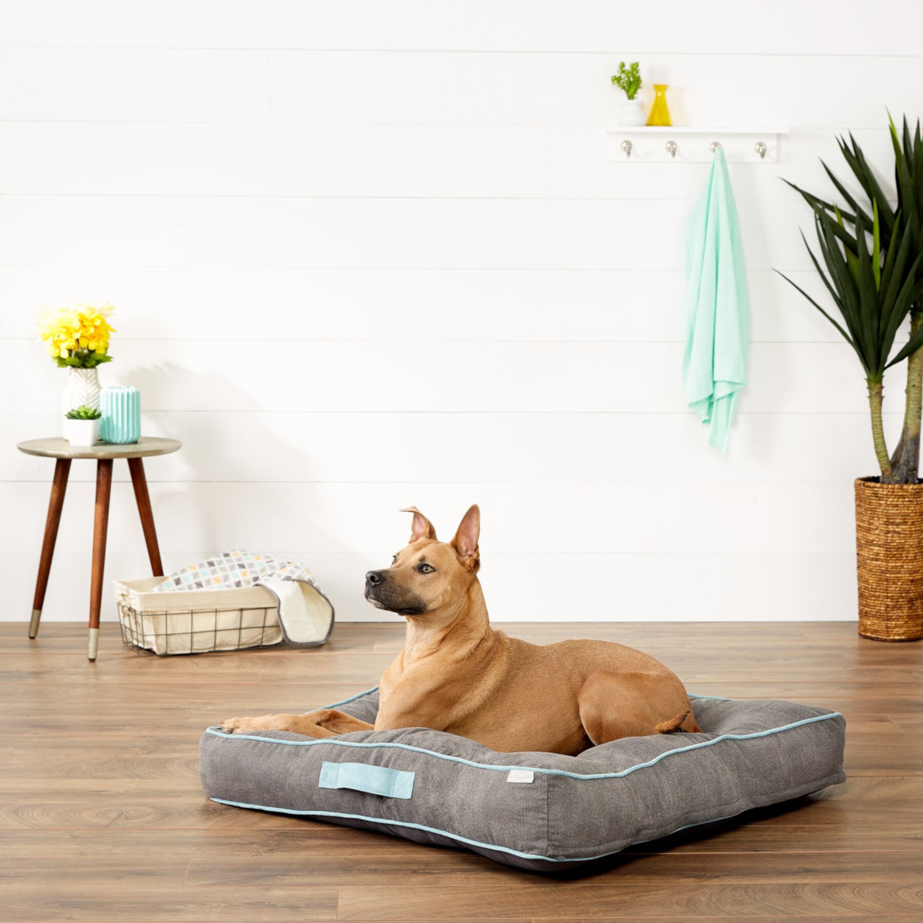 Frisco Tufted Pillow Cat & Dog Bed with Removable Cover Frisco