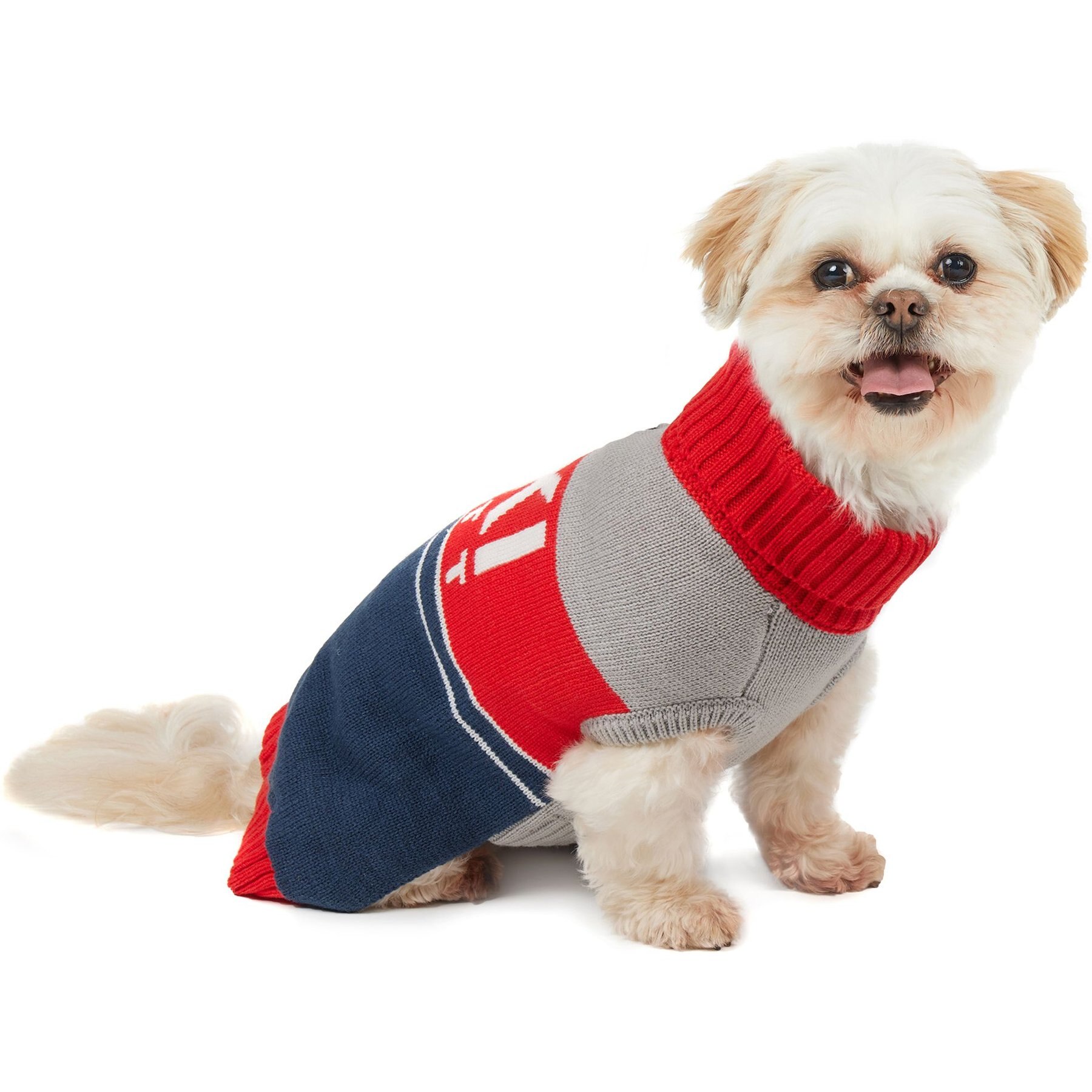 Hotel Doggy Dog Ski Sweater Hotel Doggy