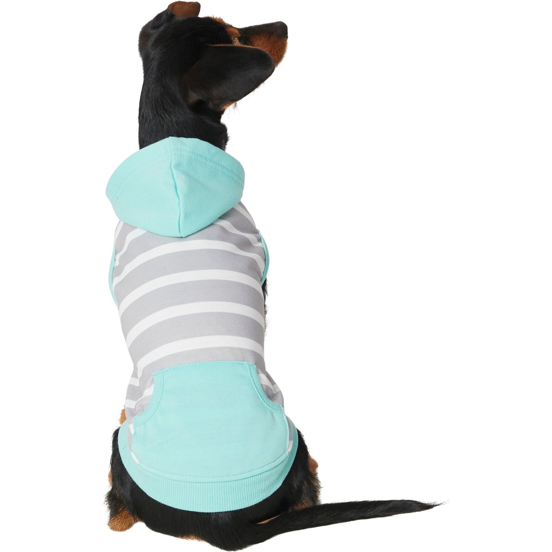 Frisco Striped Colorblock Dog & Cat Hoodie, Teal Frisco