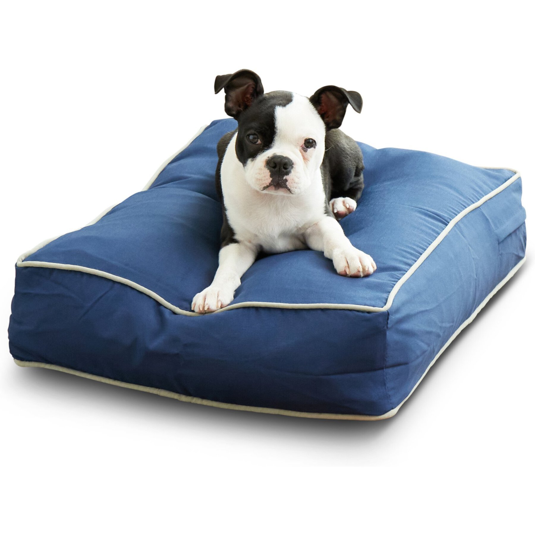 Happy Hounds Cooper Rectangle Pillow Indoor & Outdoor Dog Bed with Removable Cover Happy Hounds