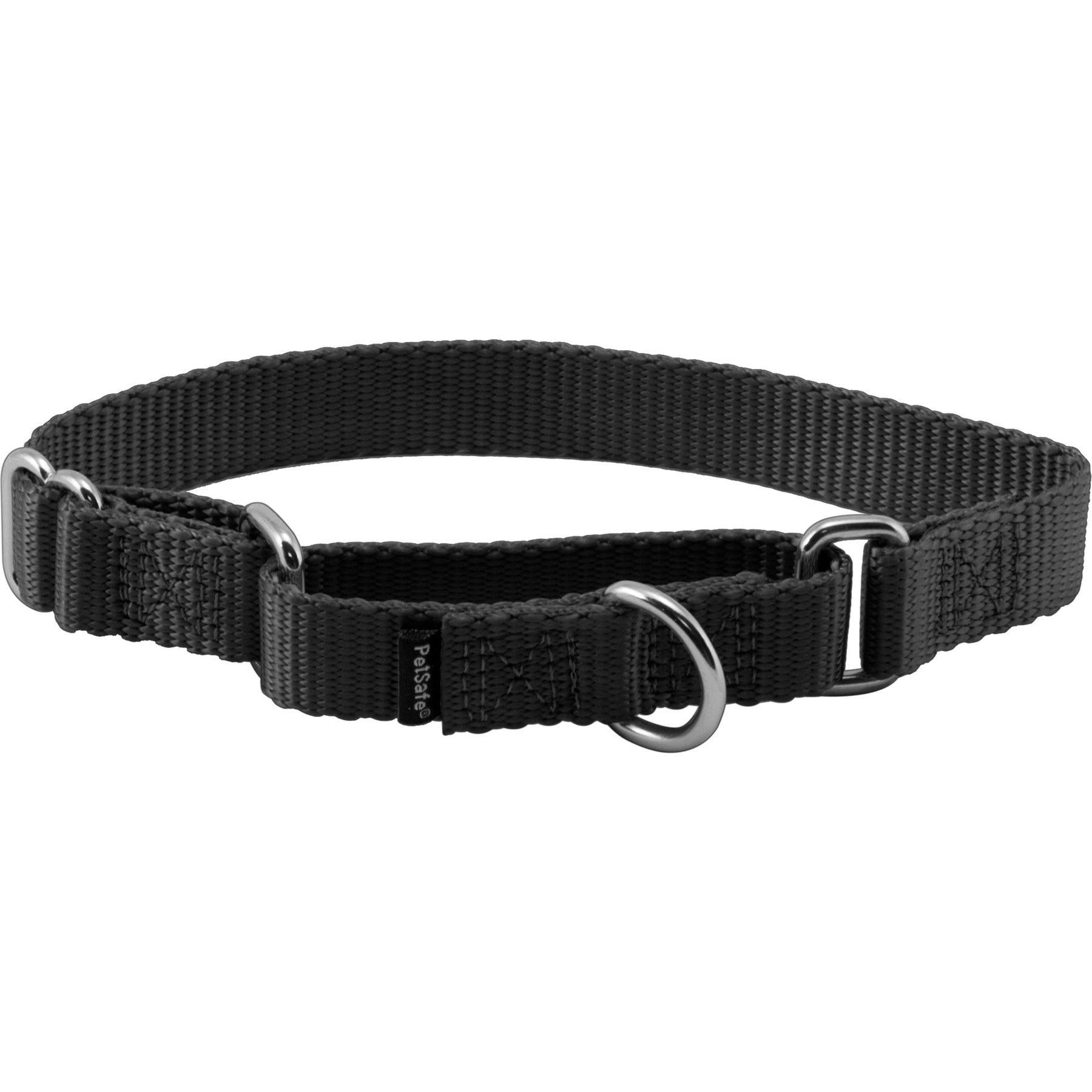 PetSafe Nylon Martingale Dog Collar PetSafe