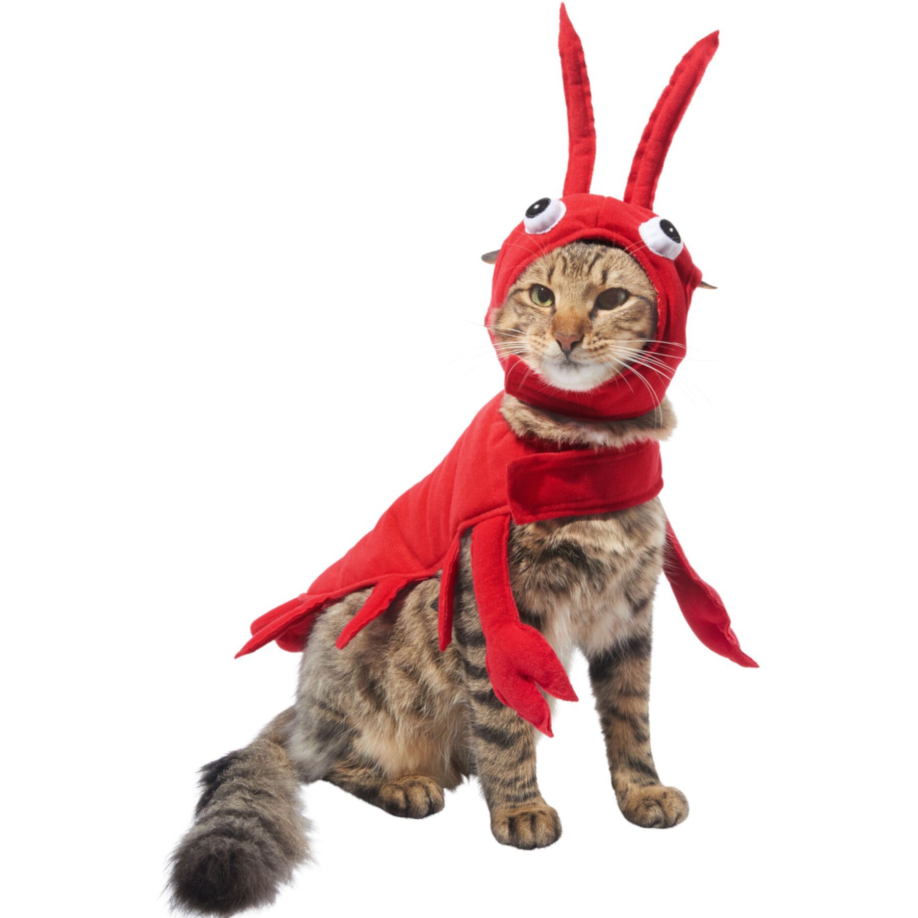 Frisco Red Lobster Dog & Cat Costume Frisco