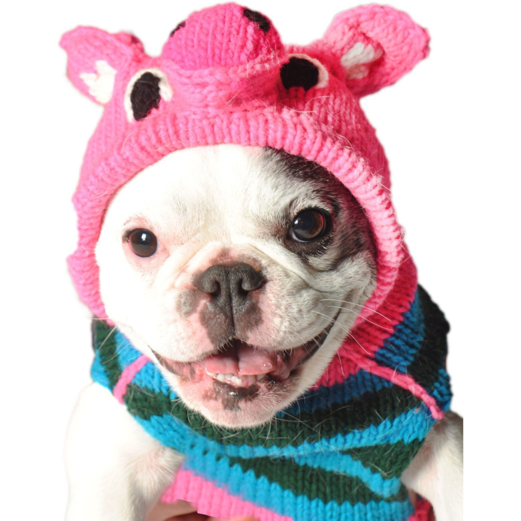 Chilly Dog Pink Piggy Dog & Cat Hoodie Chilly Dog