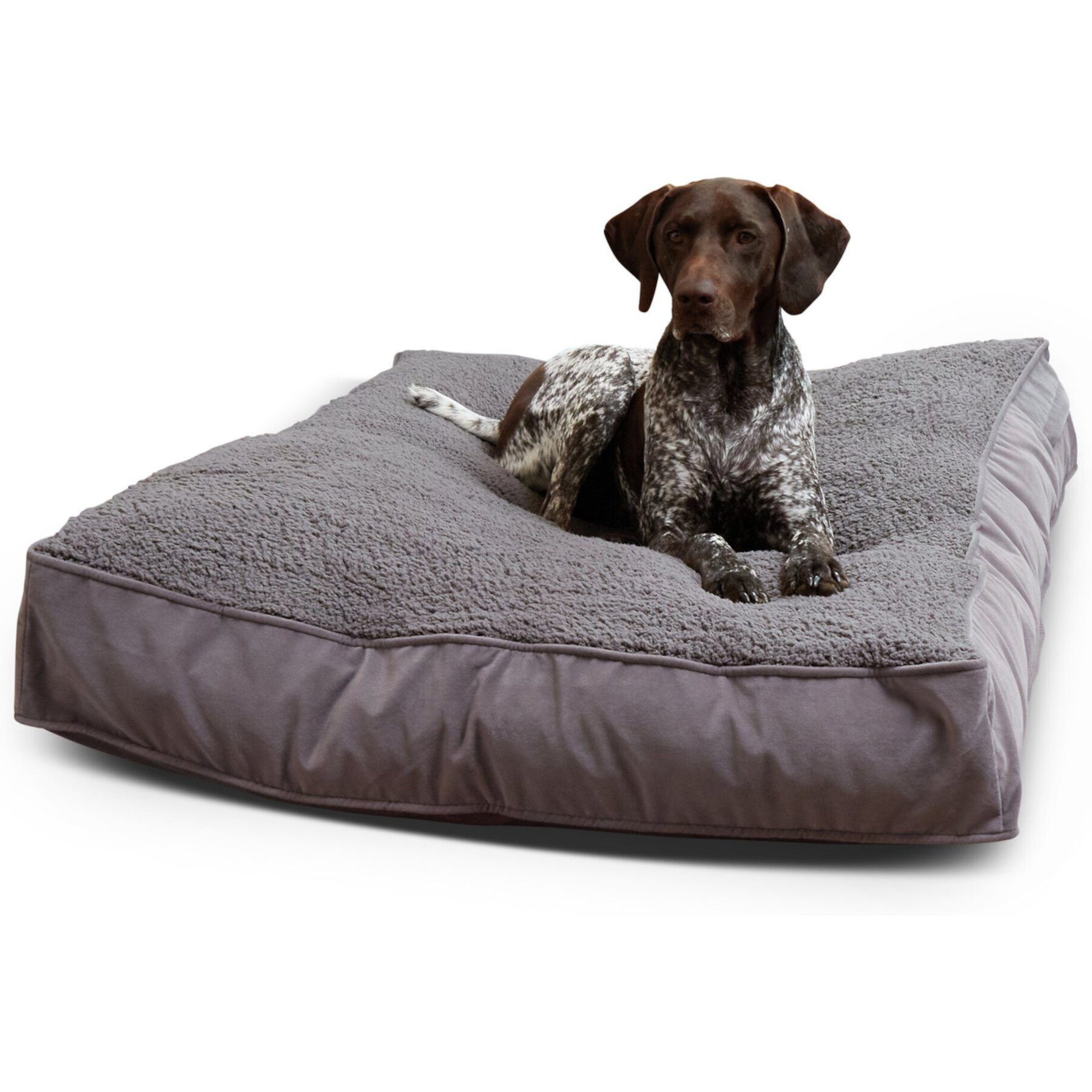 Happy Hounds Bailey Removable Cover Rectangle Pillow Dog Bed, Gray Happy Hounds