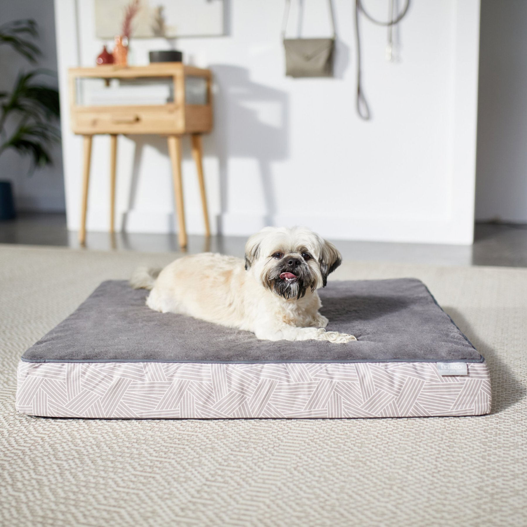 Frisco Ortho Lounger Dog & Cat Bed Frisco