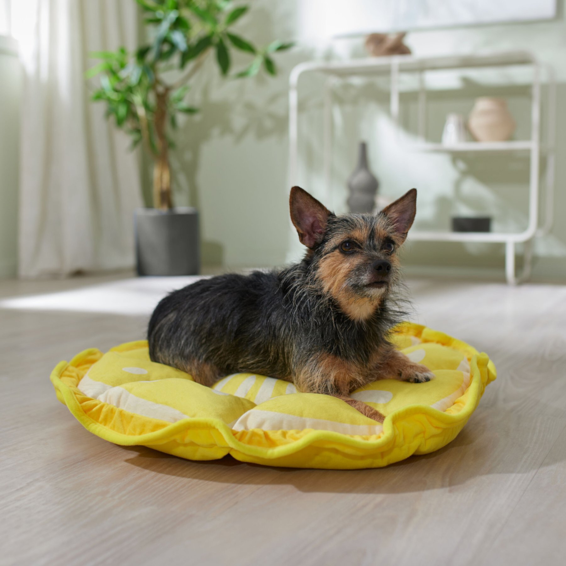 Frisco Adjustable Bolster Cat & Dog Bed, Lemon Frisco