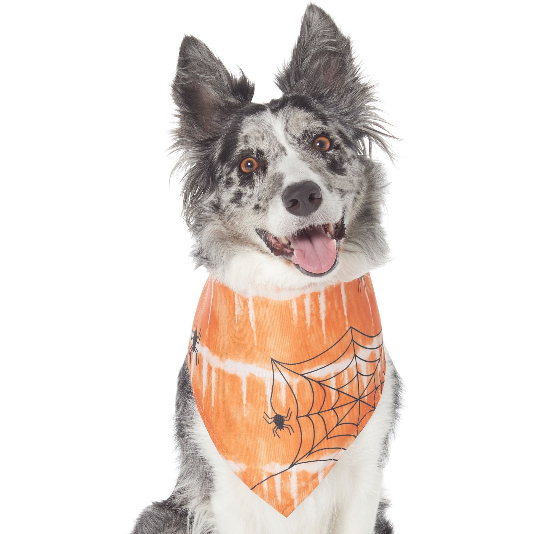 Frisco Orange Spiderweb Dog & Cat Costume Bandana Frisco