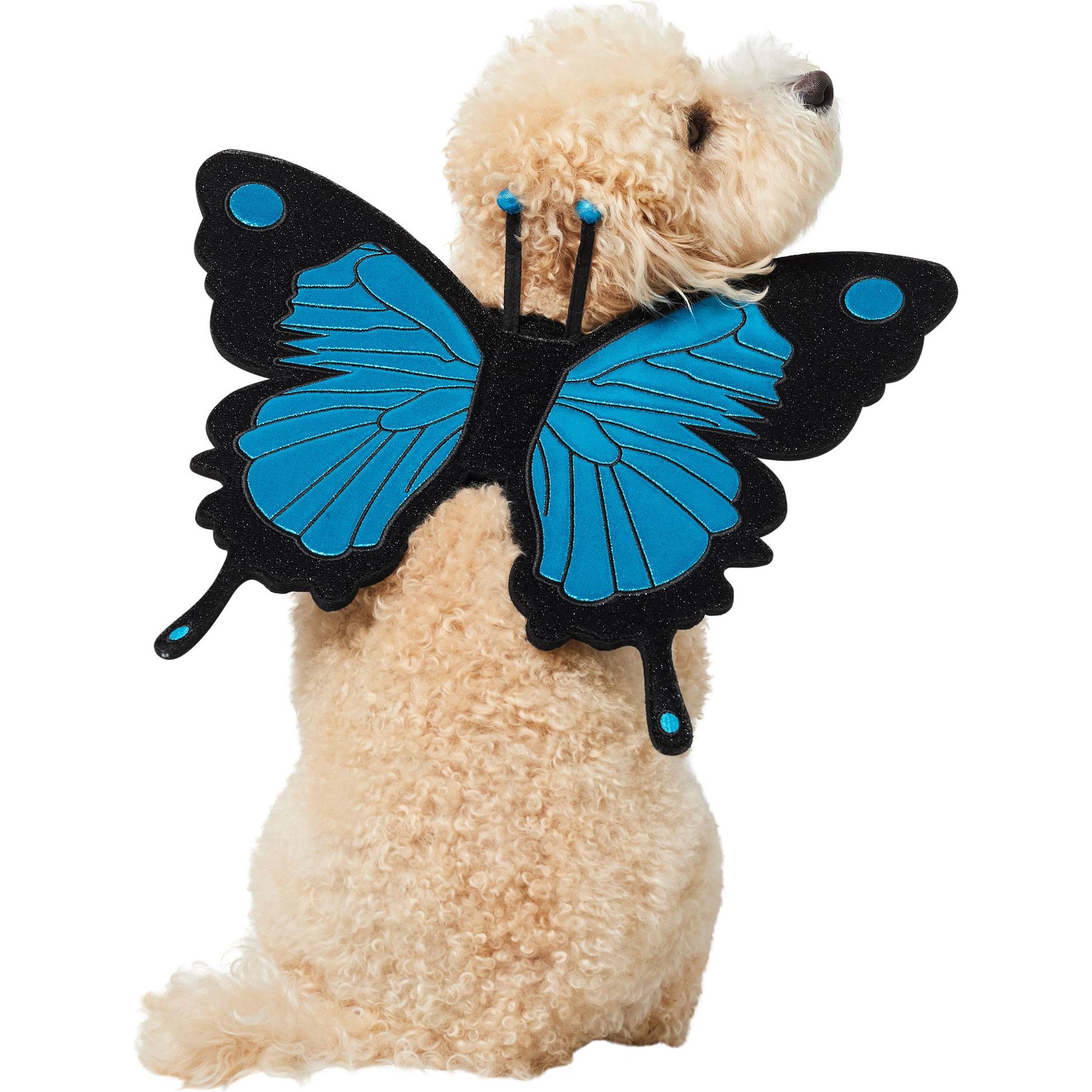 Frisco Magical Butterfly Wings Dog & Cat Costume Accessory Frisco