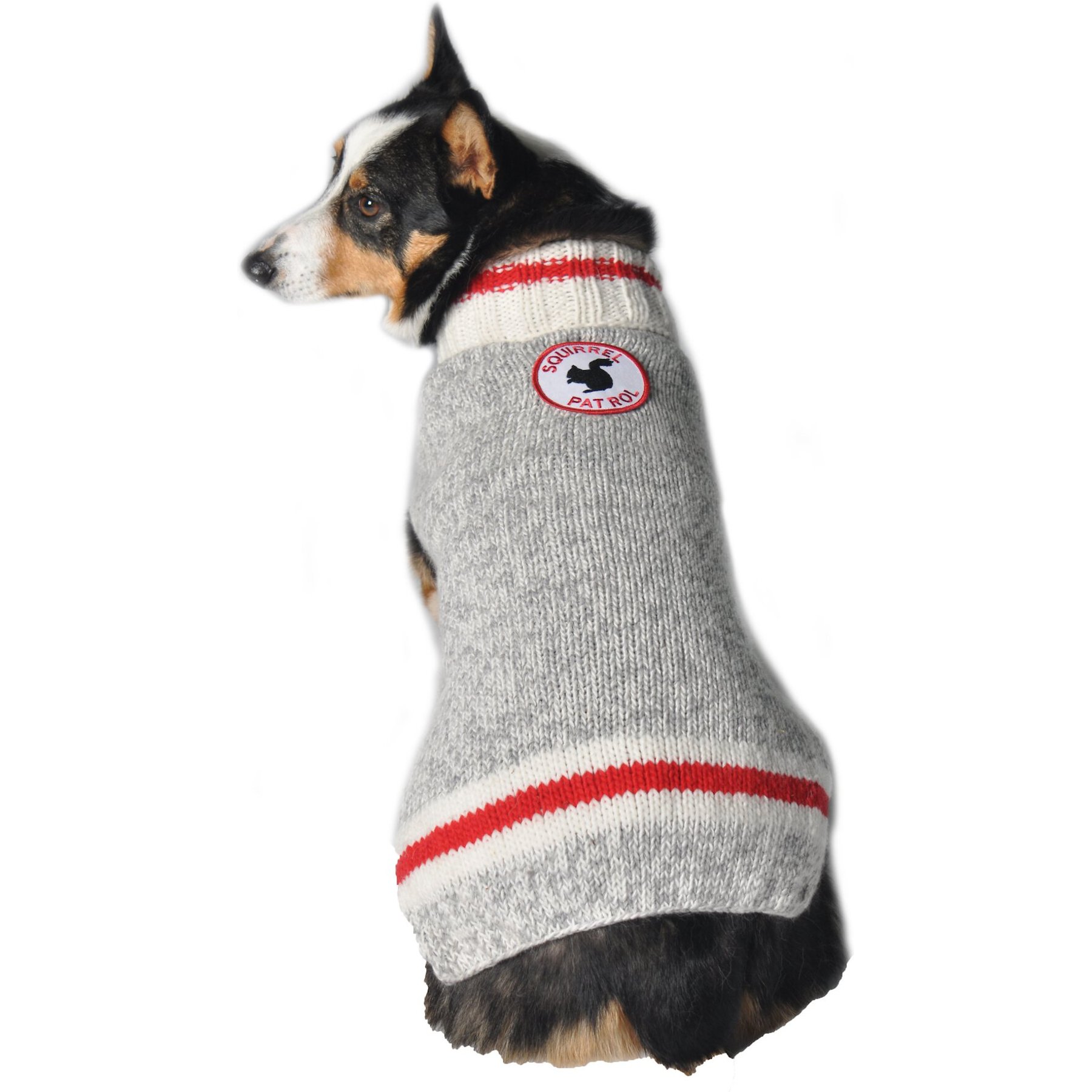 Chilly Dog Squirrel Patrol Wool Dog Sweater Chilly Dog