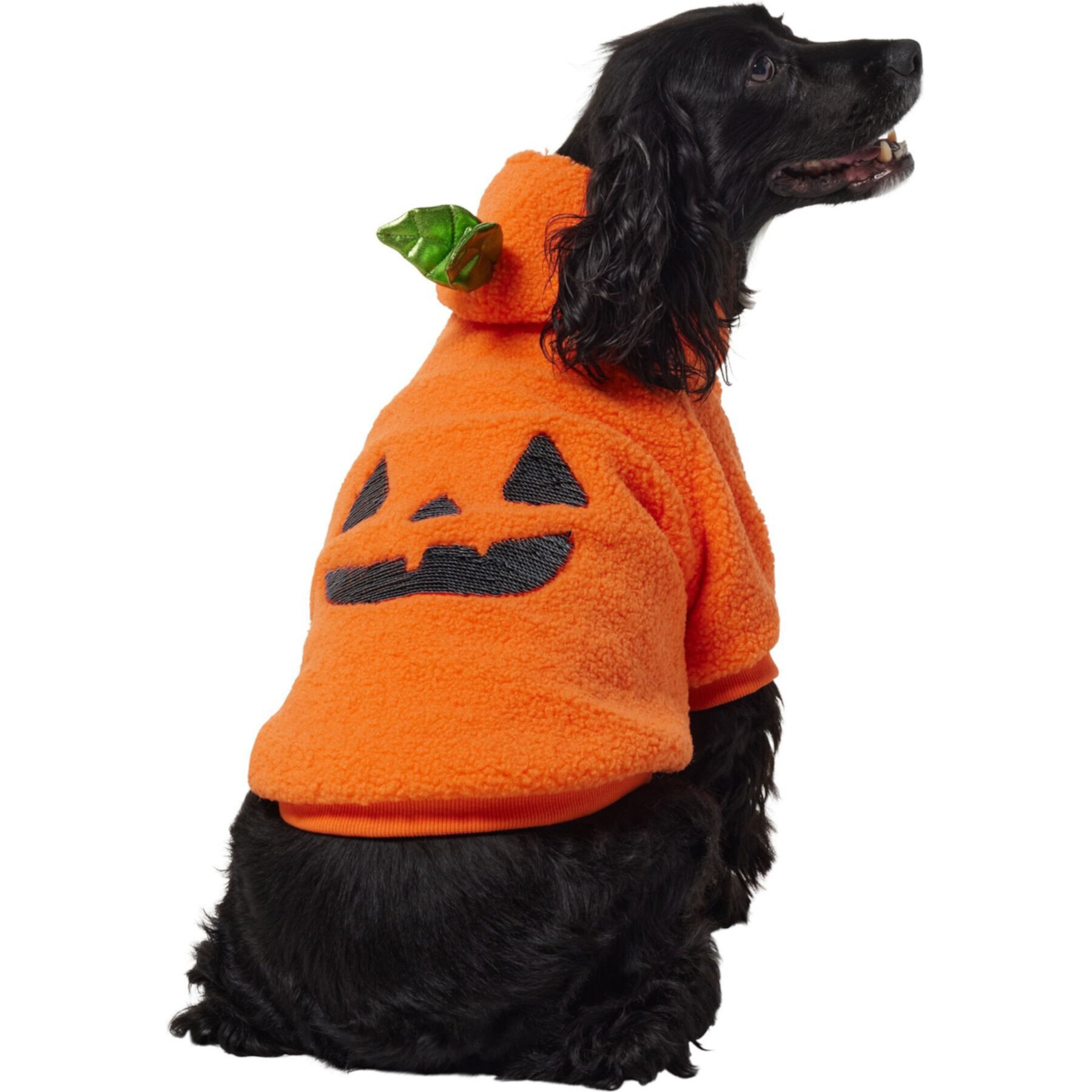 Frisco Sequin Pumpkin Dog & Cat Hoodie Frisco