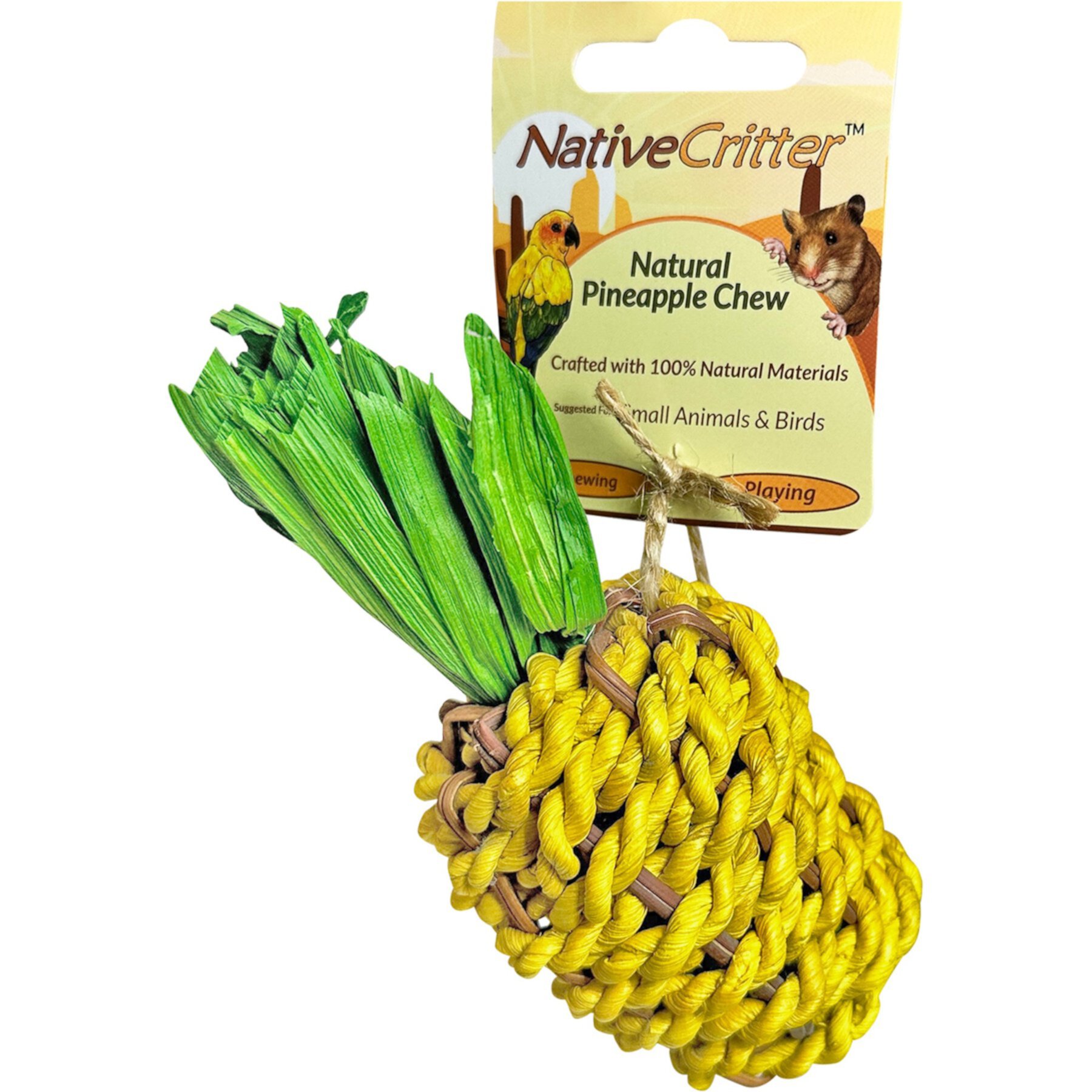 Exotic Nutrition Pineapple Chew Small Pet Chew Toy Exotic Nutrition