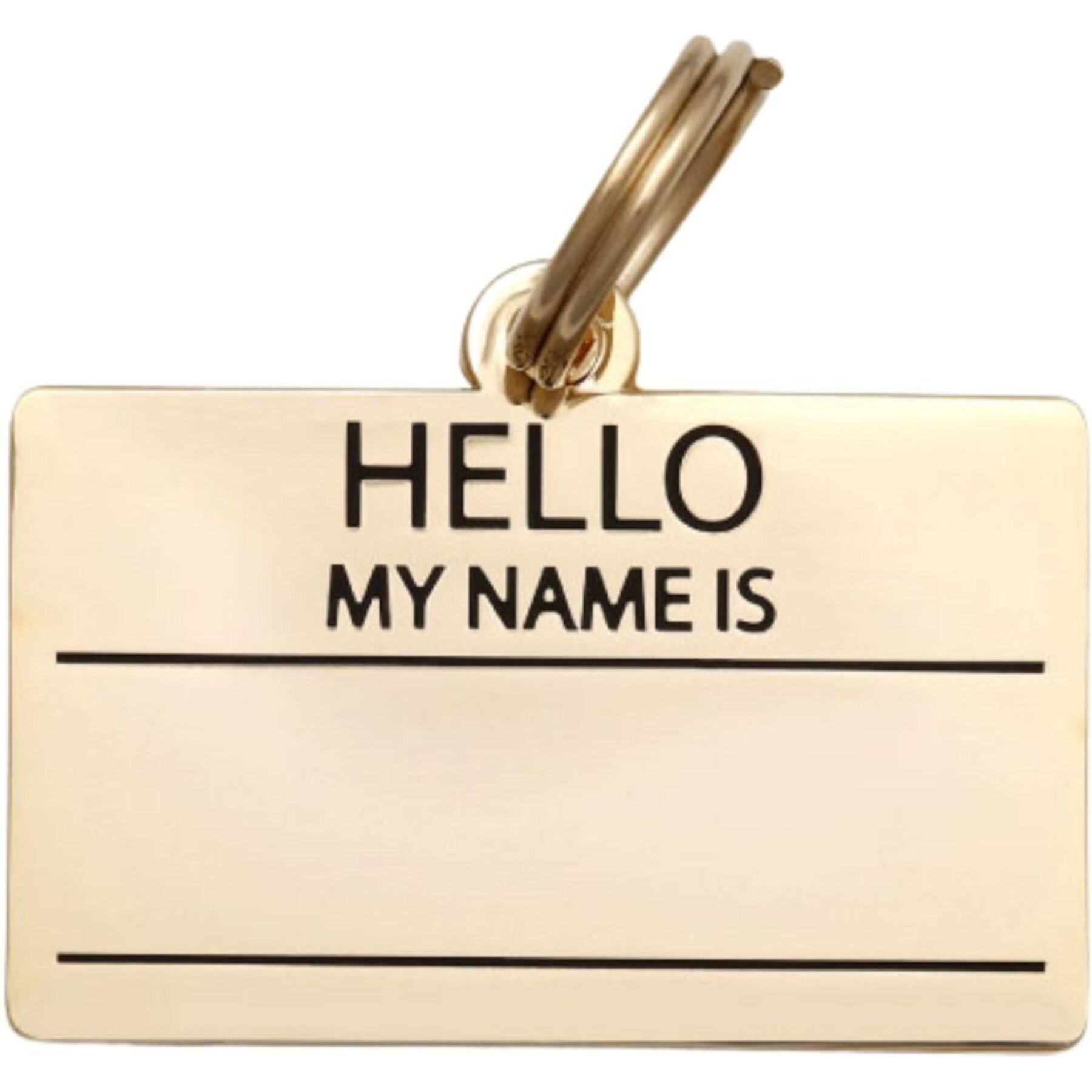 Two Tails Pet Company Hello My Name Is Brass Non-Personalized Dog & Cat ID Tag Two Tails Pet Company