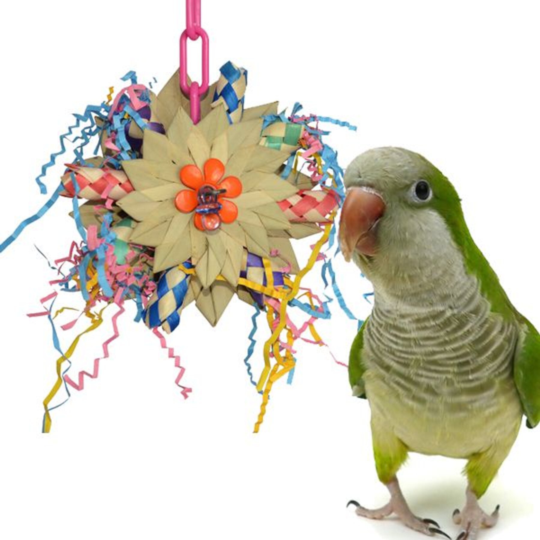 Super Bird Creations Pinwheel Bird Toy, Medium Super Bird Creations