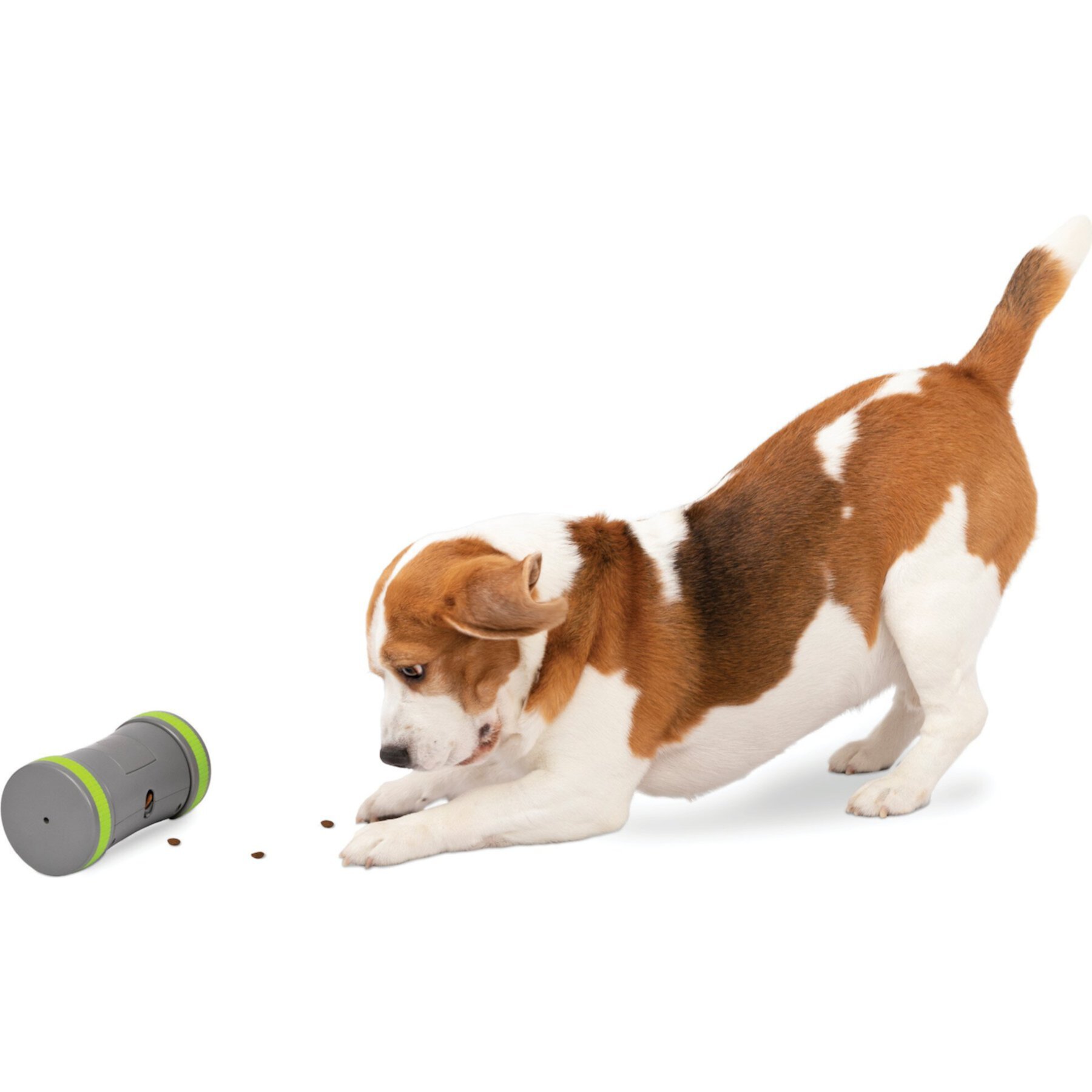 PetSafe Kibble Chase Roaming Treat Dropper Dog Toy PetSafe