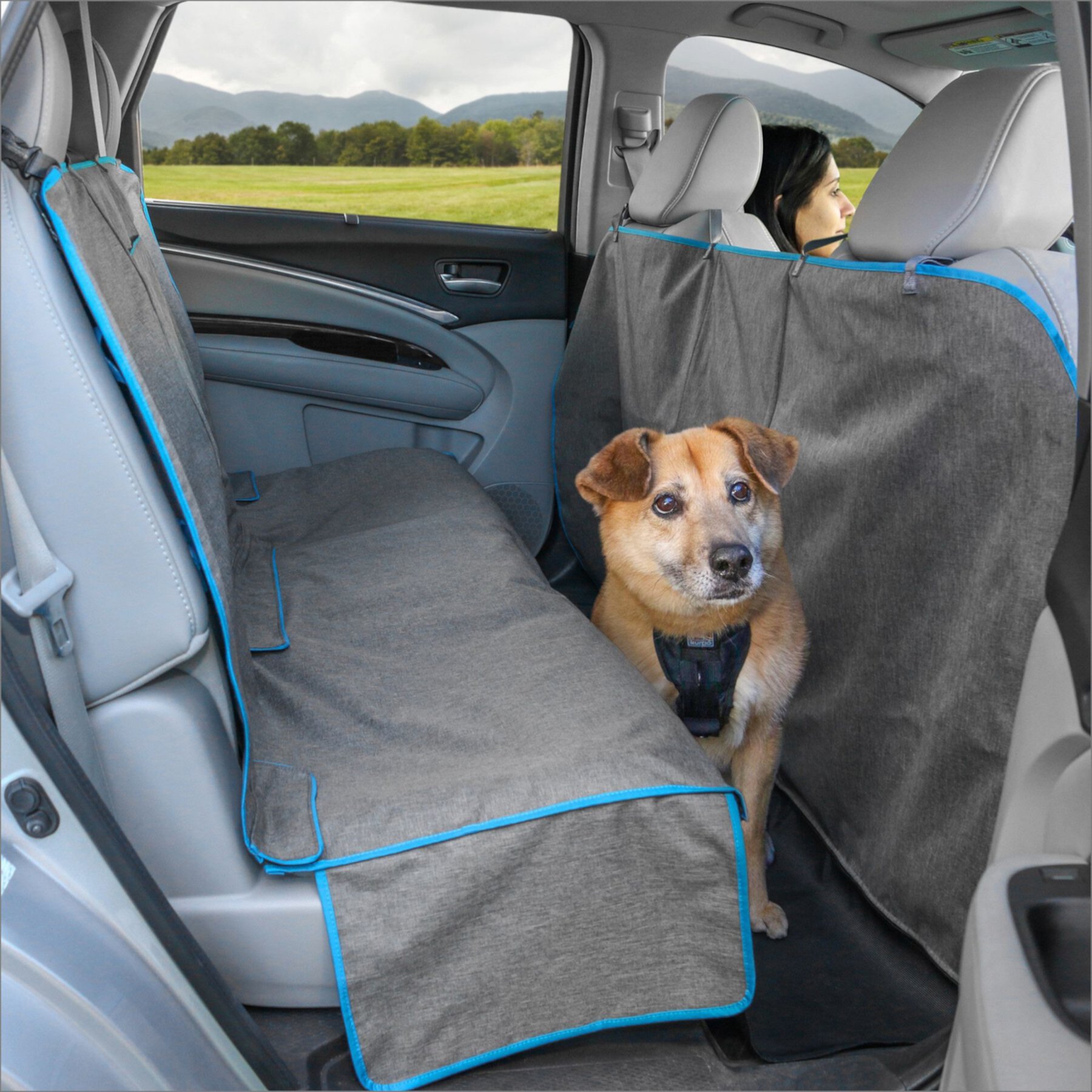 Kurgo Coast to Coast Car Seat Cover, Heather Gray/Coastal Blue Kurgo