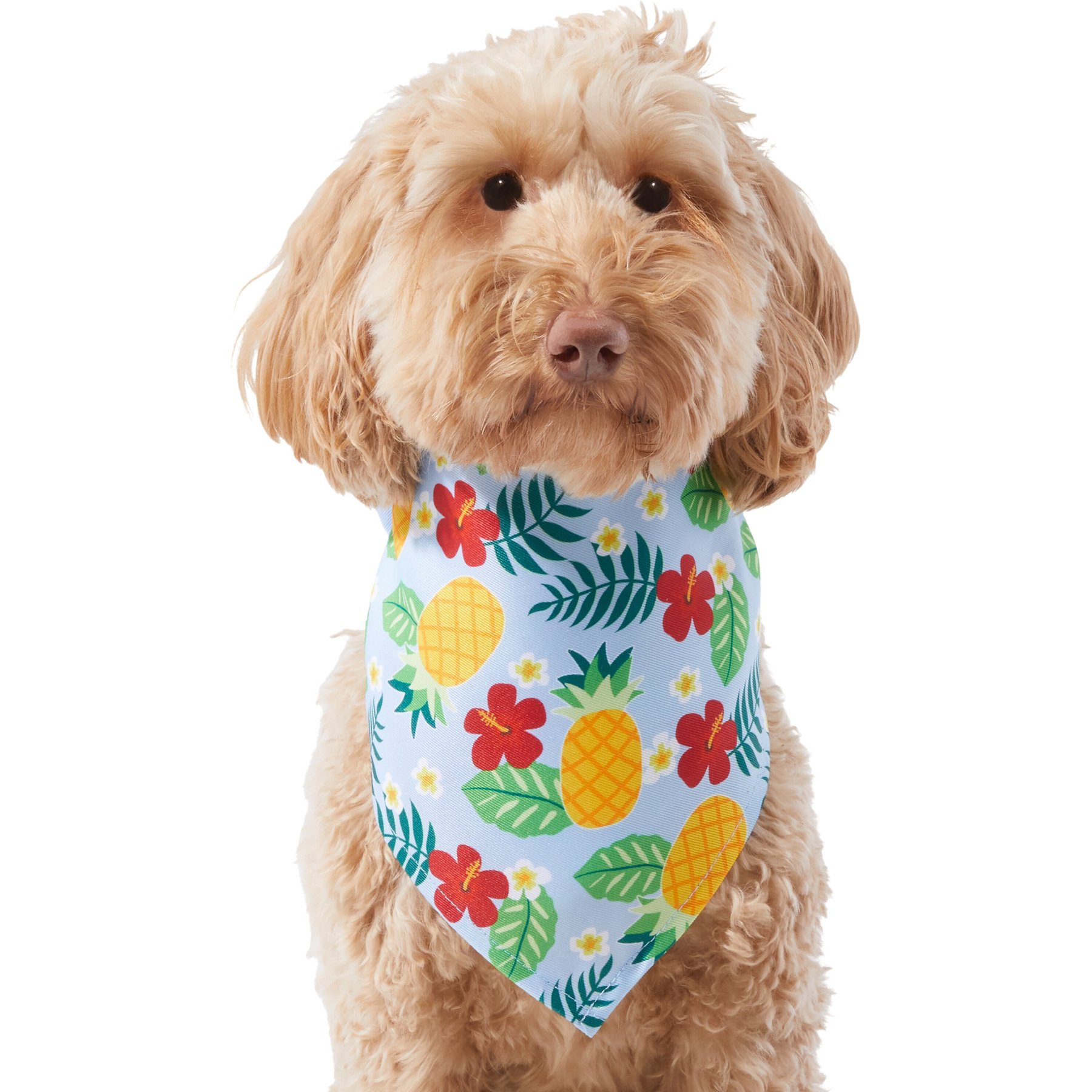 Frisco Hawaiian Pineapple Dog & Cat Bandana Frisco