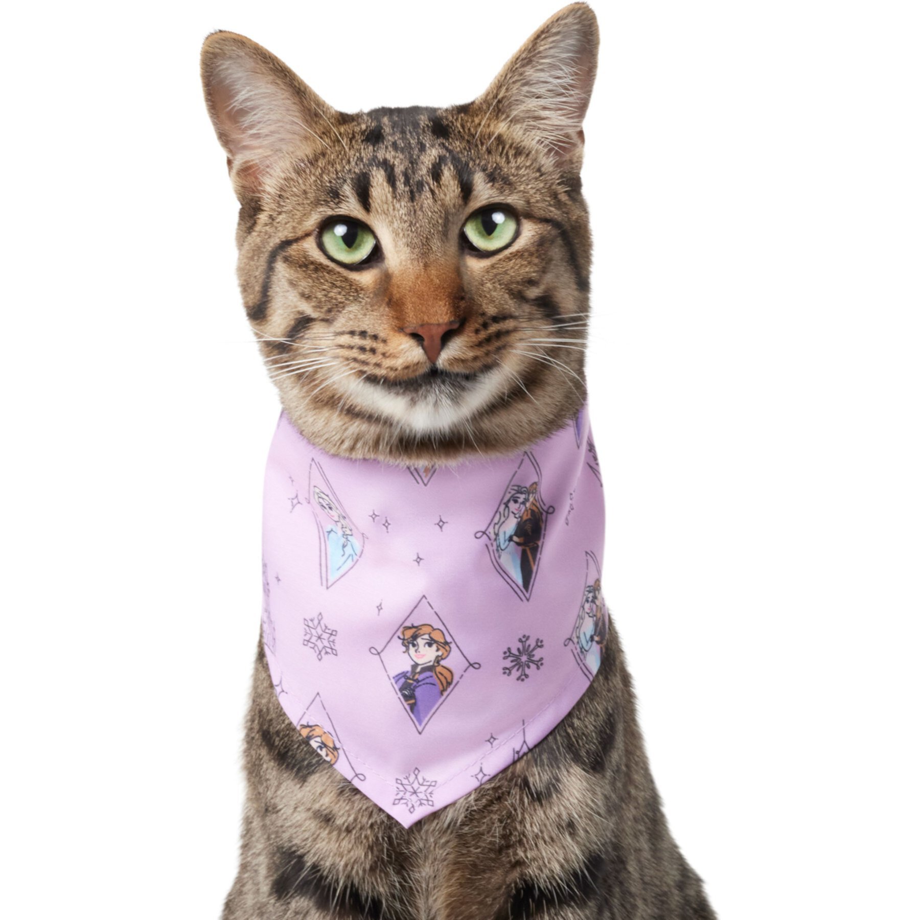 Disney Frozen Pattern Dog & Cat Bandana Disney