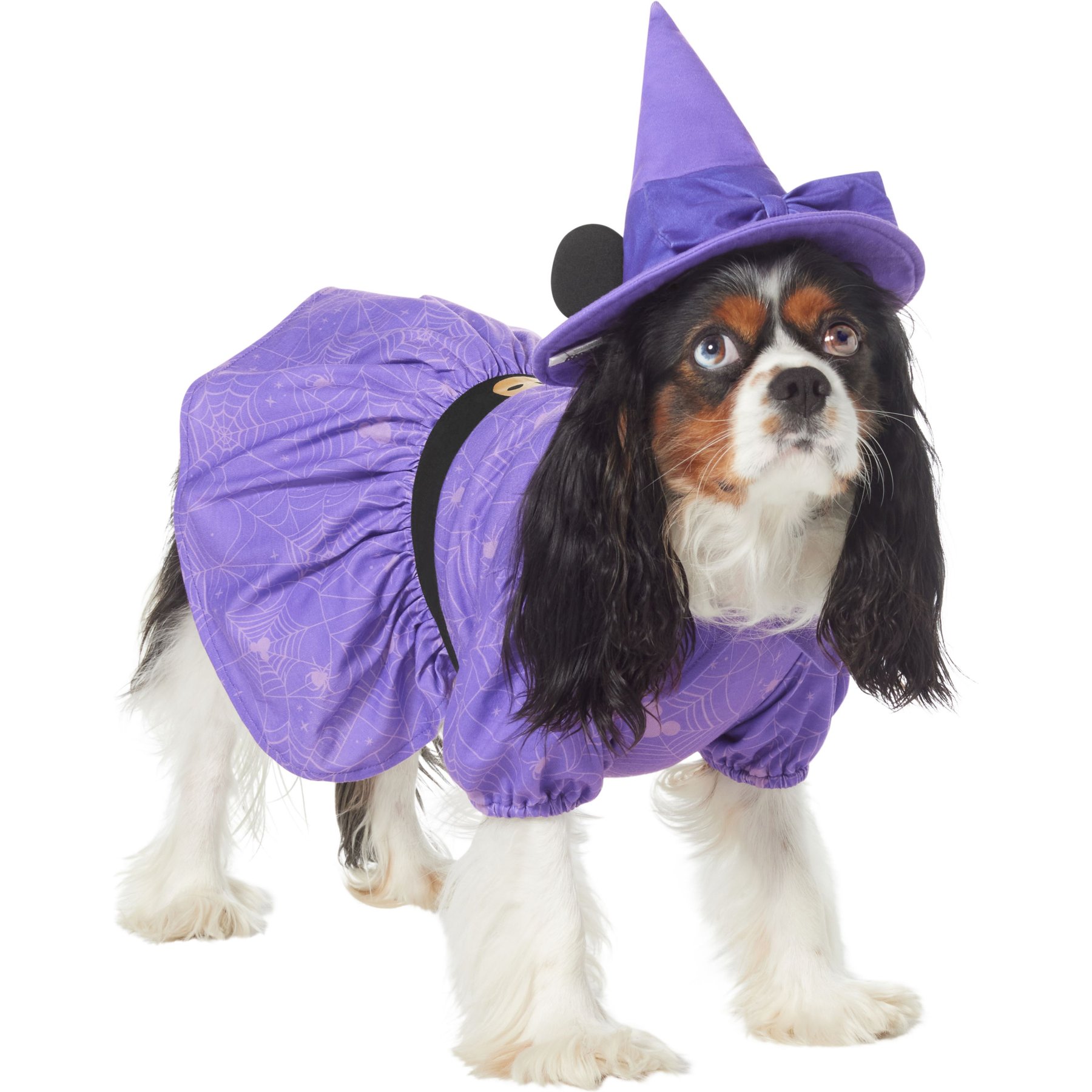 Disney Minnie Mouse Witch Dog & Cat Costume Disney