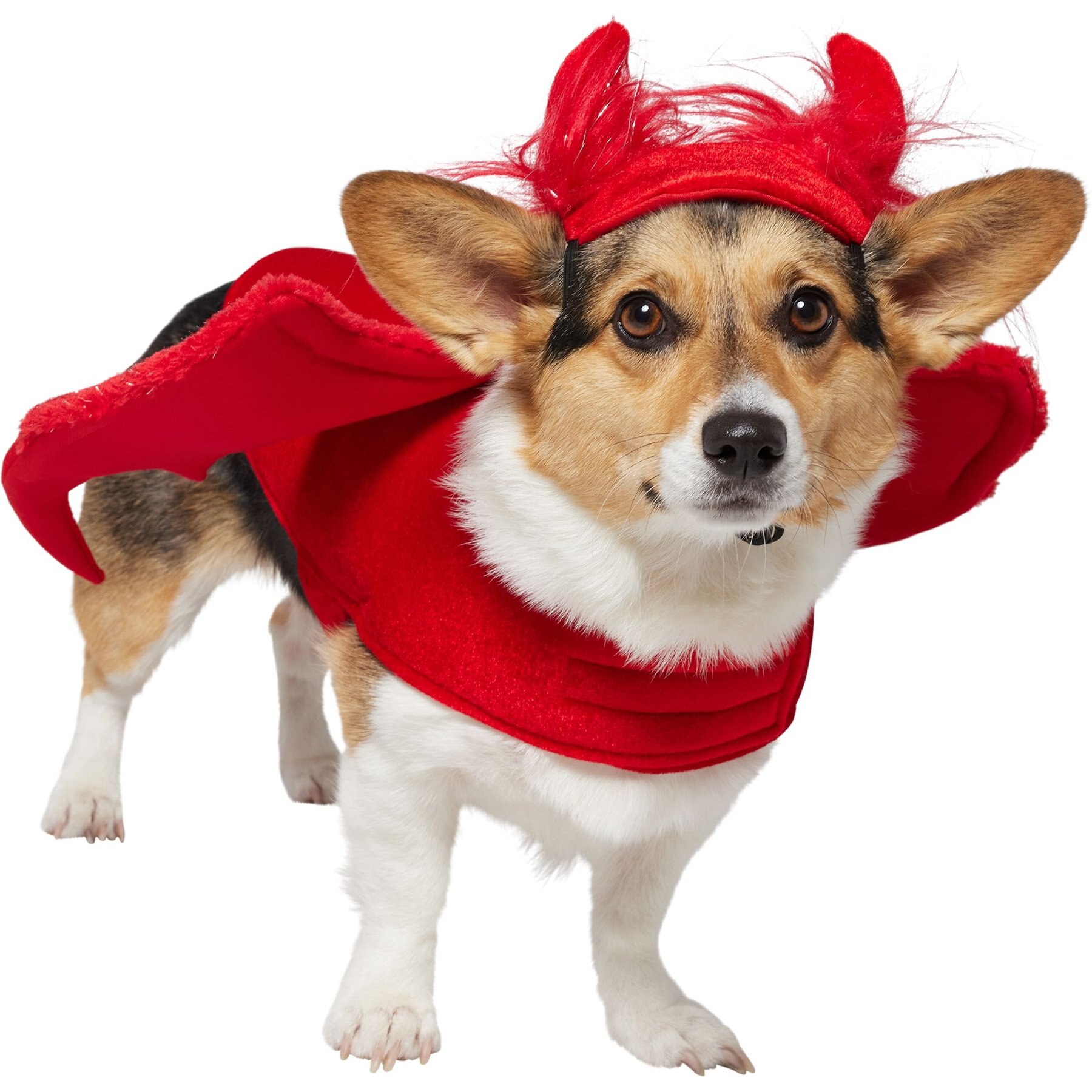 Frisco My Little Devil Dog & Cat Costume Accessory Frisco