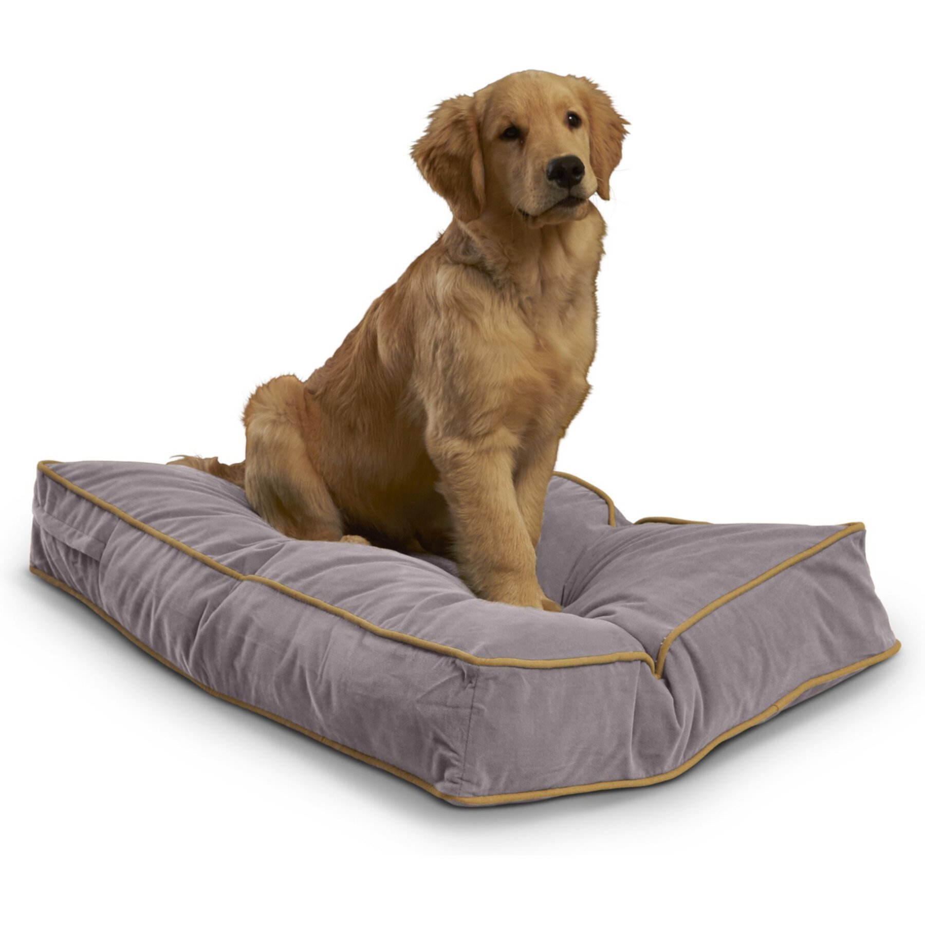 Happy Hounds Bailey Rectangle Pillow Dog Bed with Removable Cover Happy Hounds