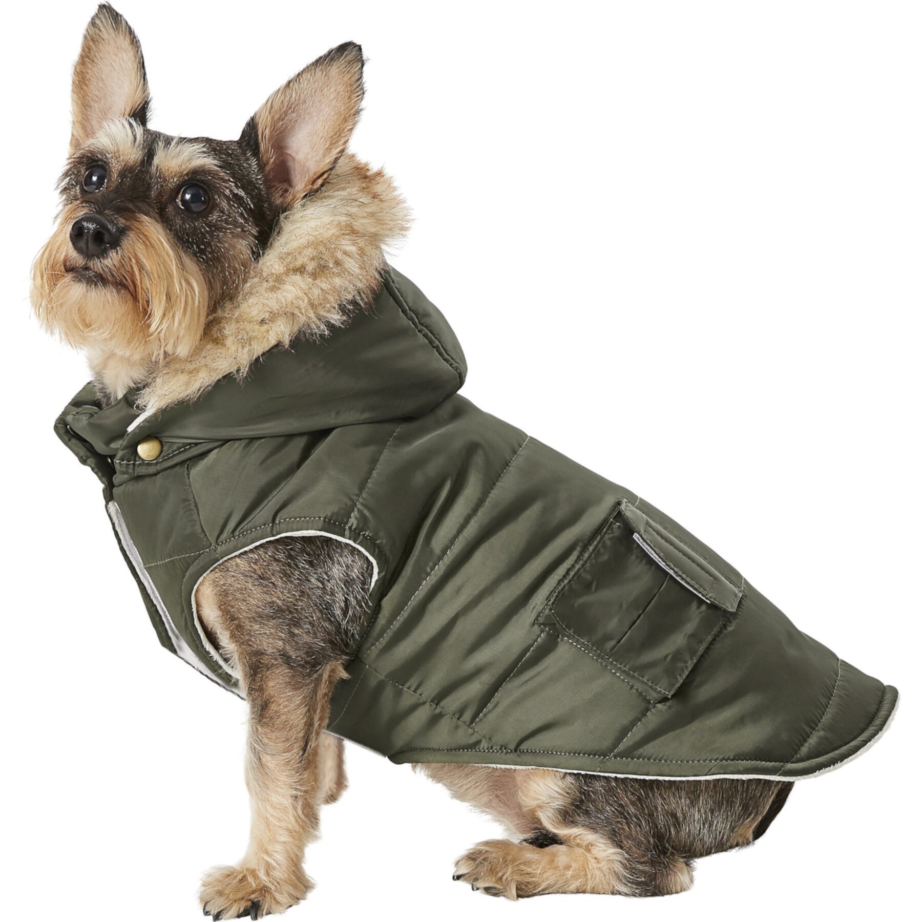 Frisco Mid-Heavyweight Portland Insulated Dog & Cat Parka Frisco