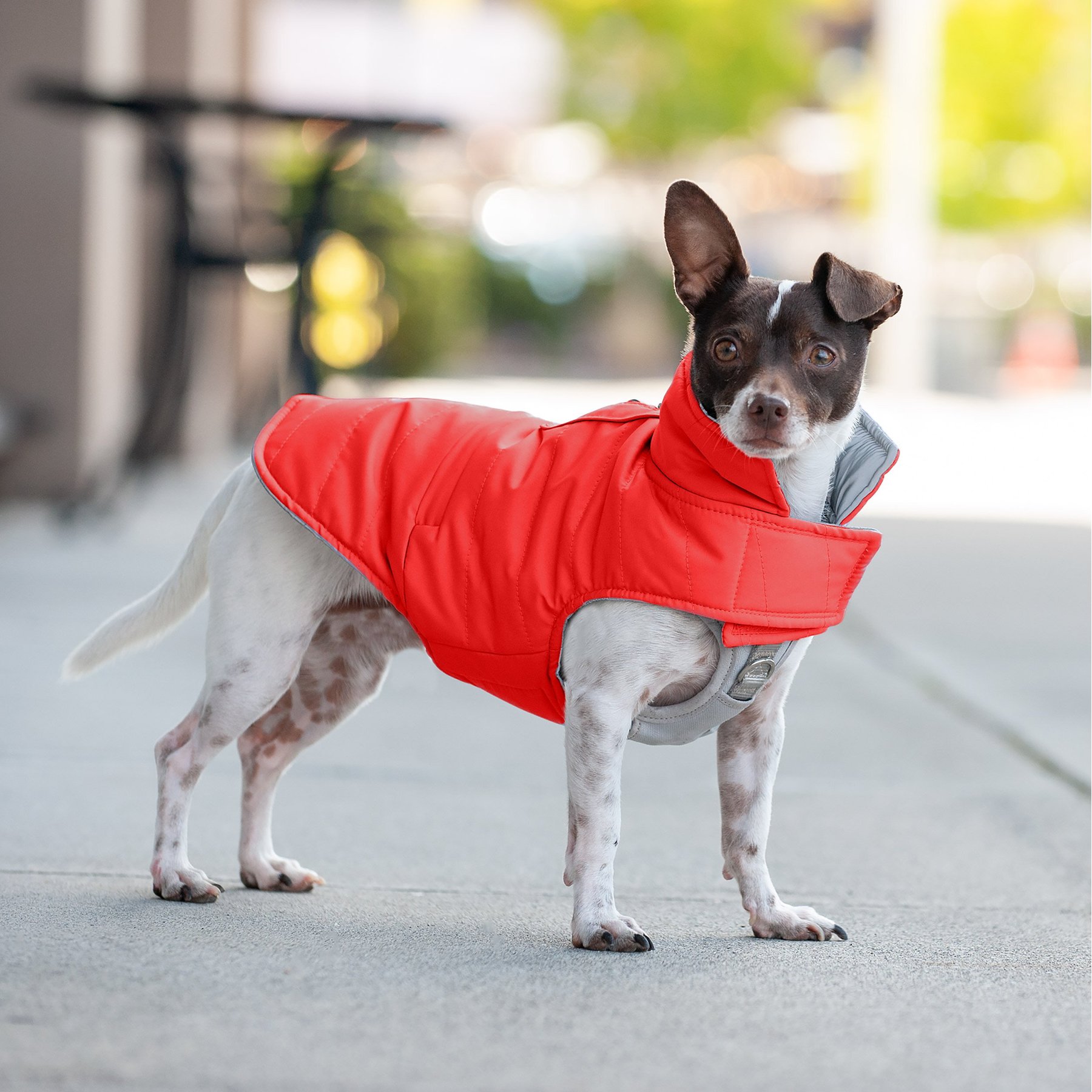 FurHaven Reversible Reflective Puffer Dog Coat Furhaven