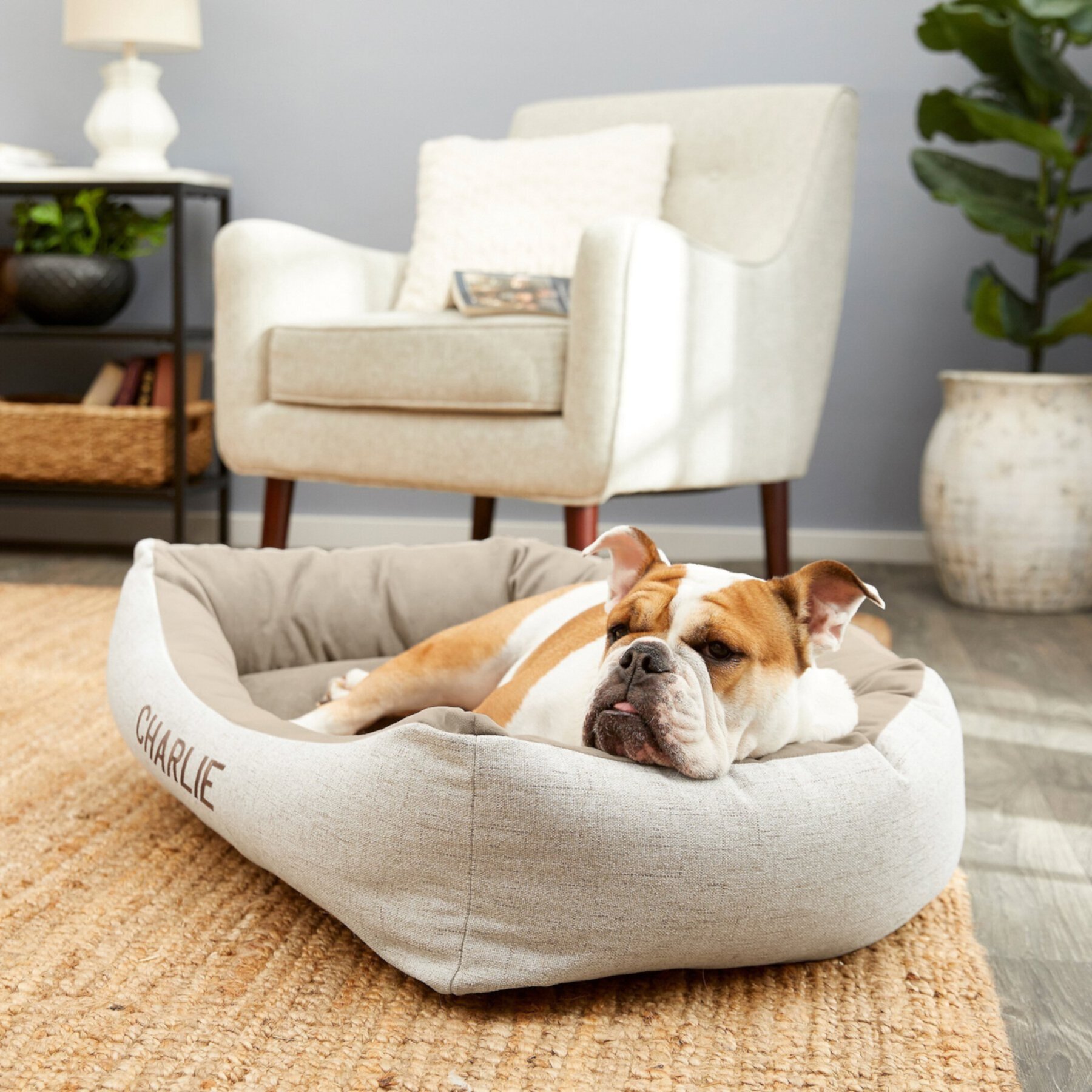 Frisco Rectangular Personalized Bolster Dog Bed w/Removable Cover, Beige, X-Large Frisco