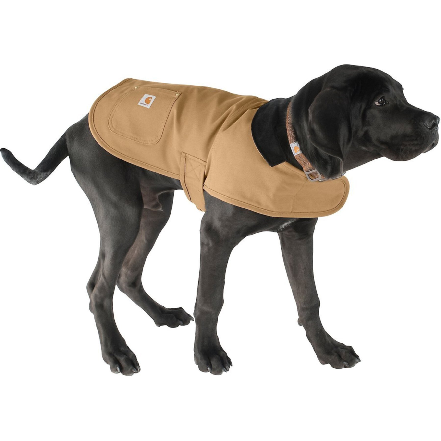 Carhartt Chore Insulated Dog Coat Carhartt