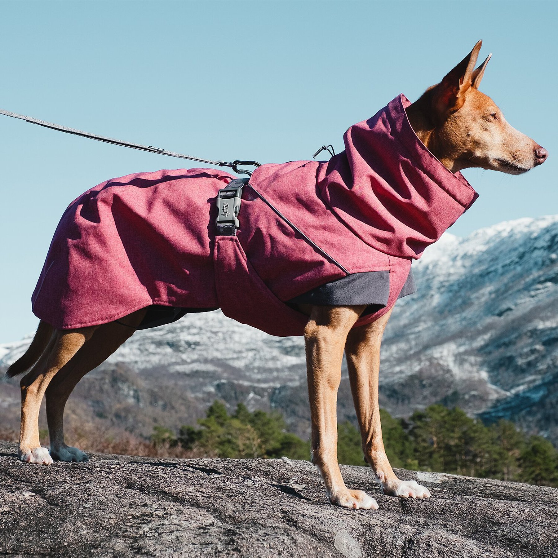 Hurtta Expedition Insulated Dog Parka Hurtta