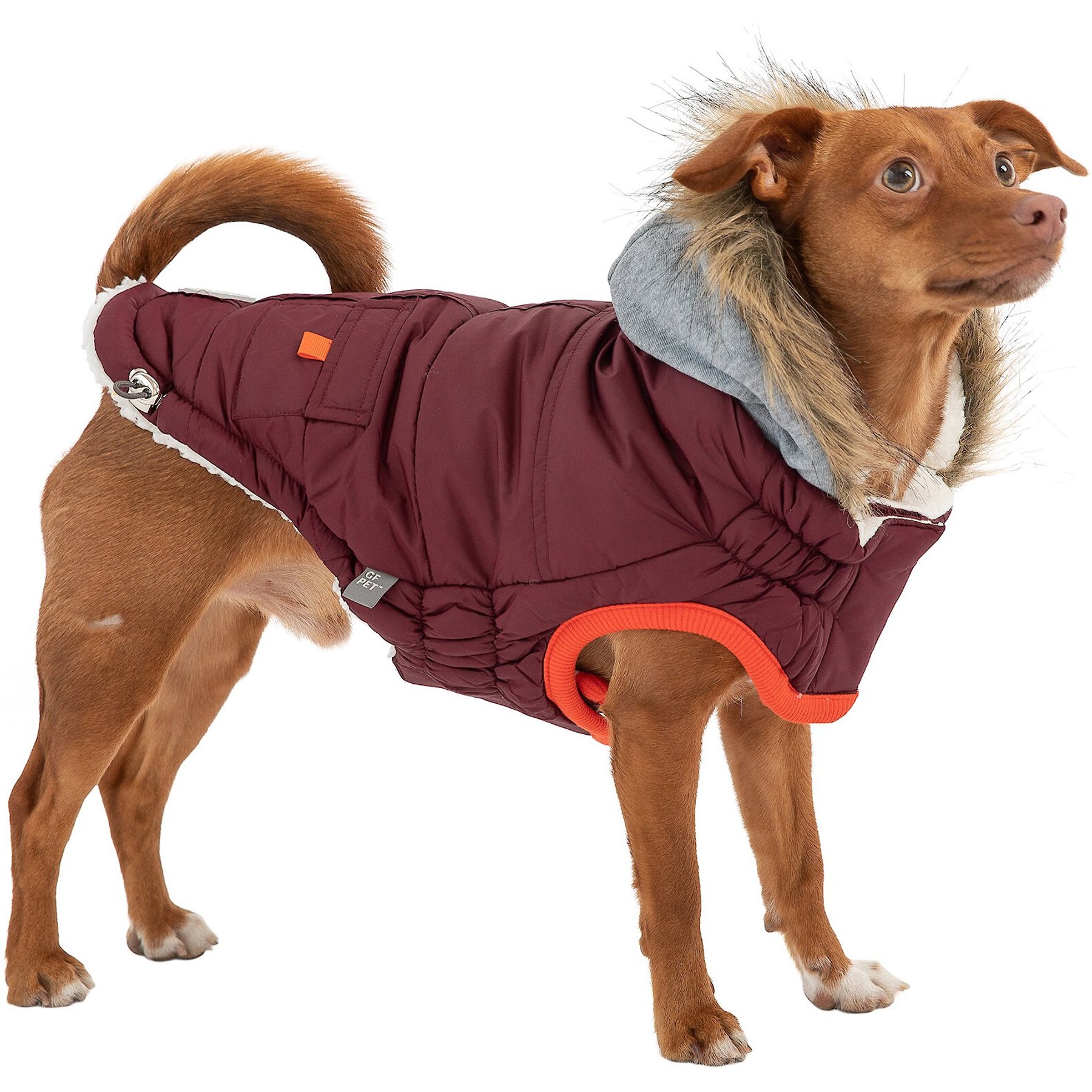 GF Pet Winter Sailor Dog Parka GF Pet