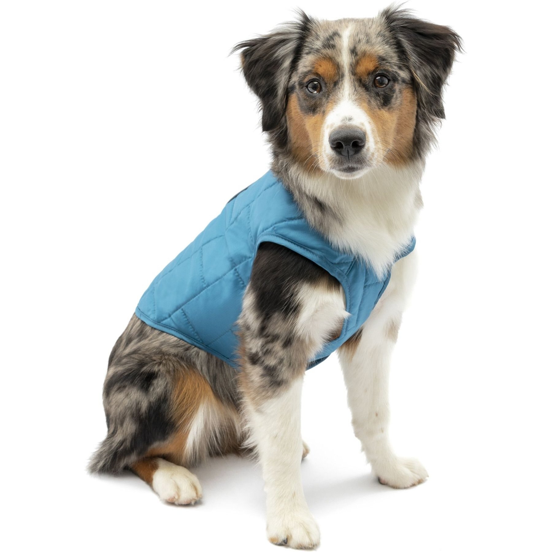 Kurgo Loft Reversible Insulated Dog Quilted Coat Kurgo