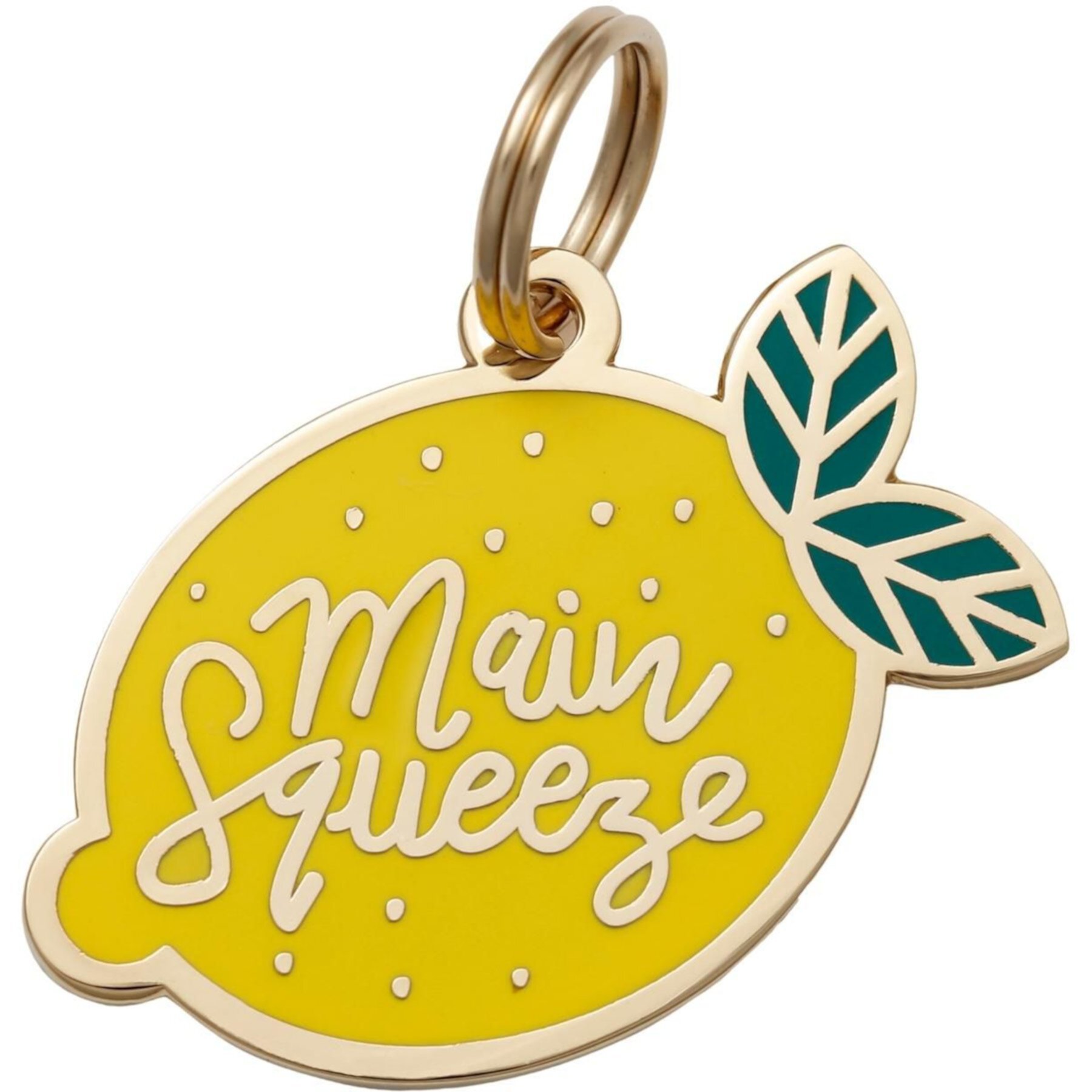 Two Tails Pet Company Main Squeeze Brass Non-Personalized Dog & Cat ID Tag, Yellow Two Tails Pet Company