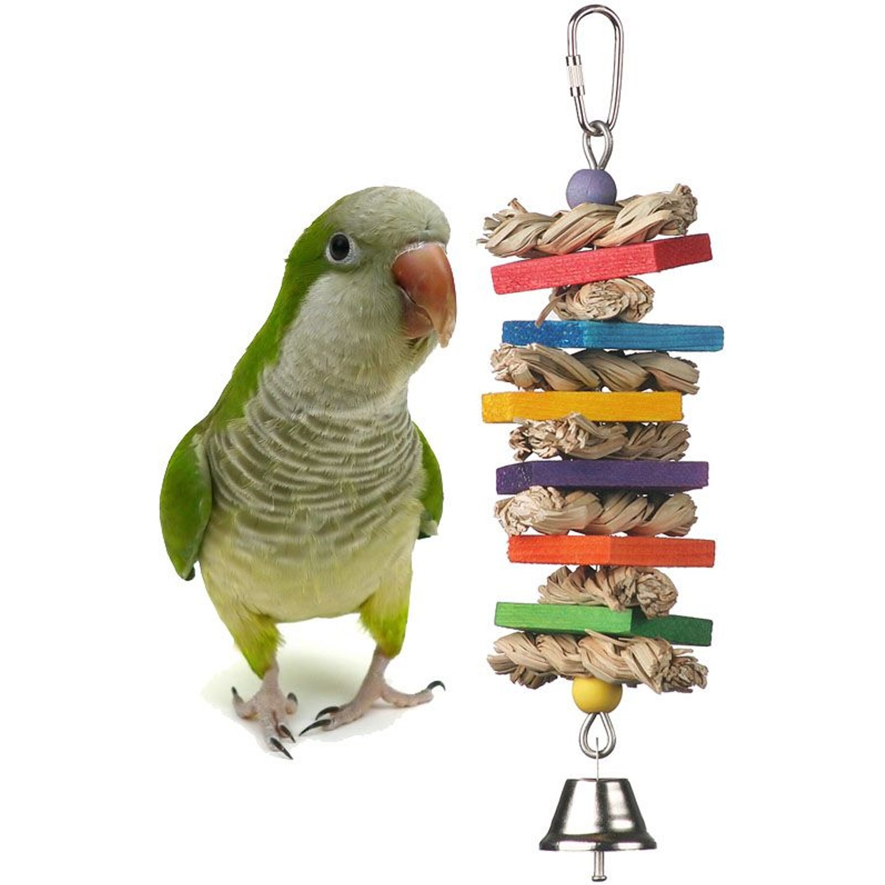 Super Bird Creations Seagrass Wafers Bird Toy, Medium Super Bird Creations