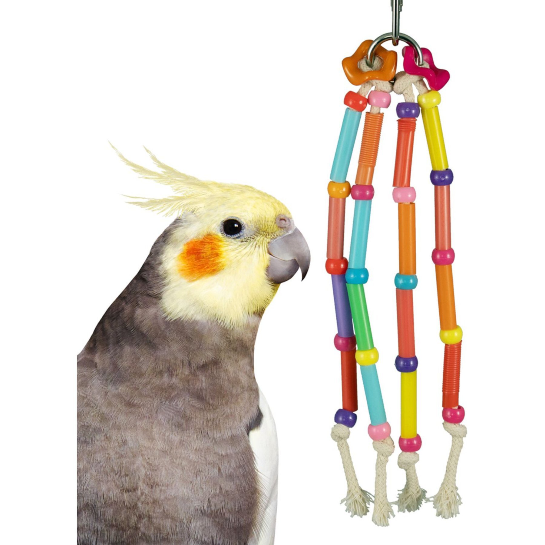 Super Bird Creations Strawz Preening Bird Toy Super Bird Creations