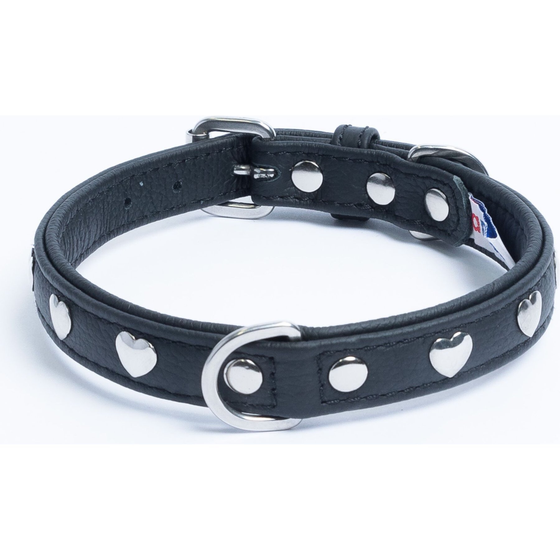 Angel Rotterdam Hearts Standard Dog Collar Angel