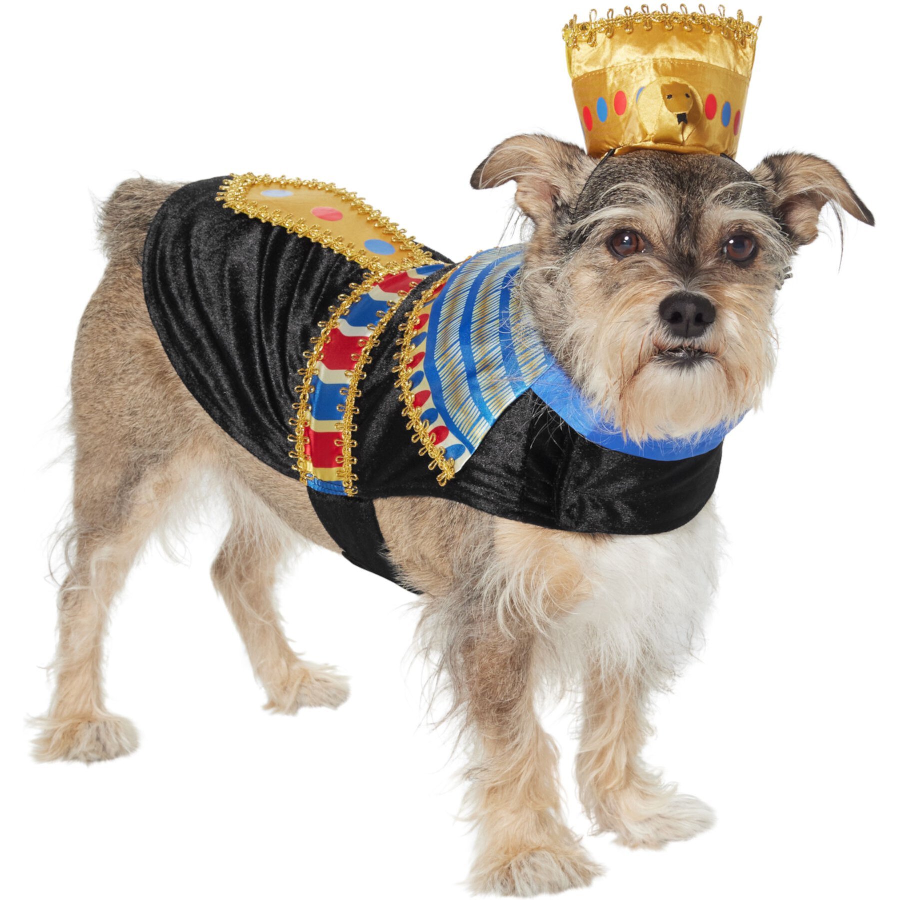 Frisco Royal Pharoah Dog & Cat Costume Frisco