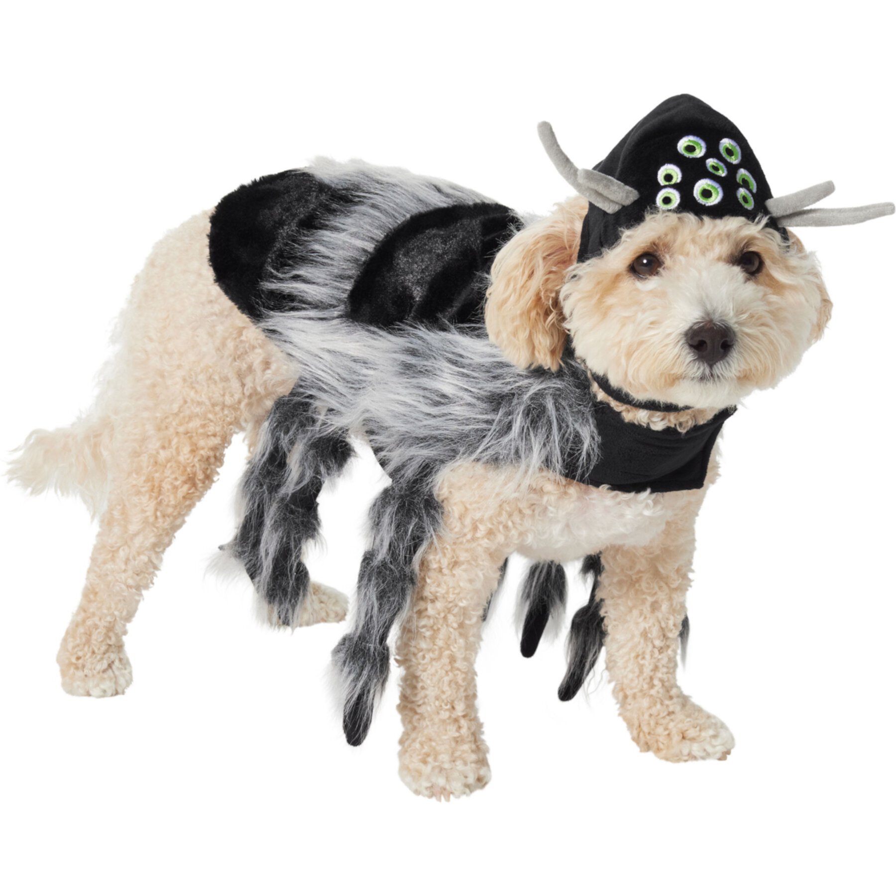 Frisco Spider Dog & Cat Costume Frisco