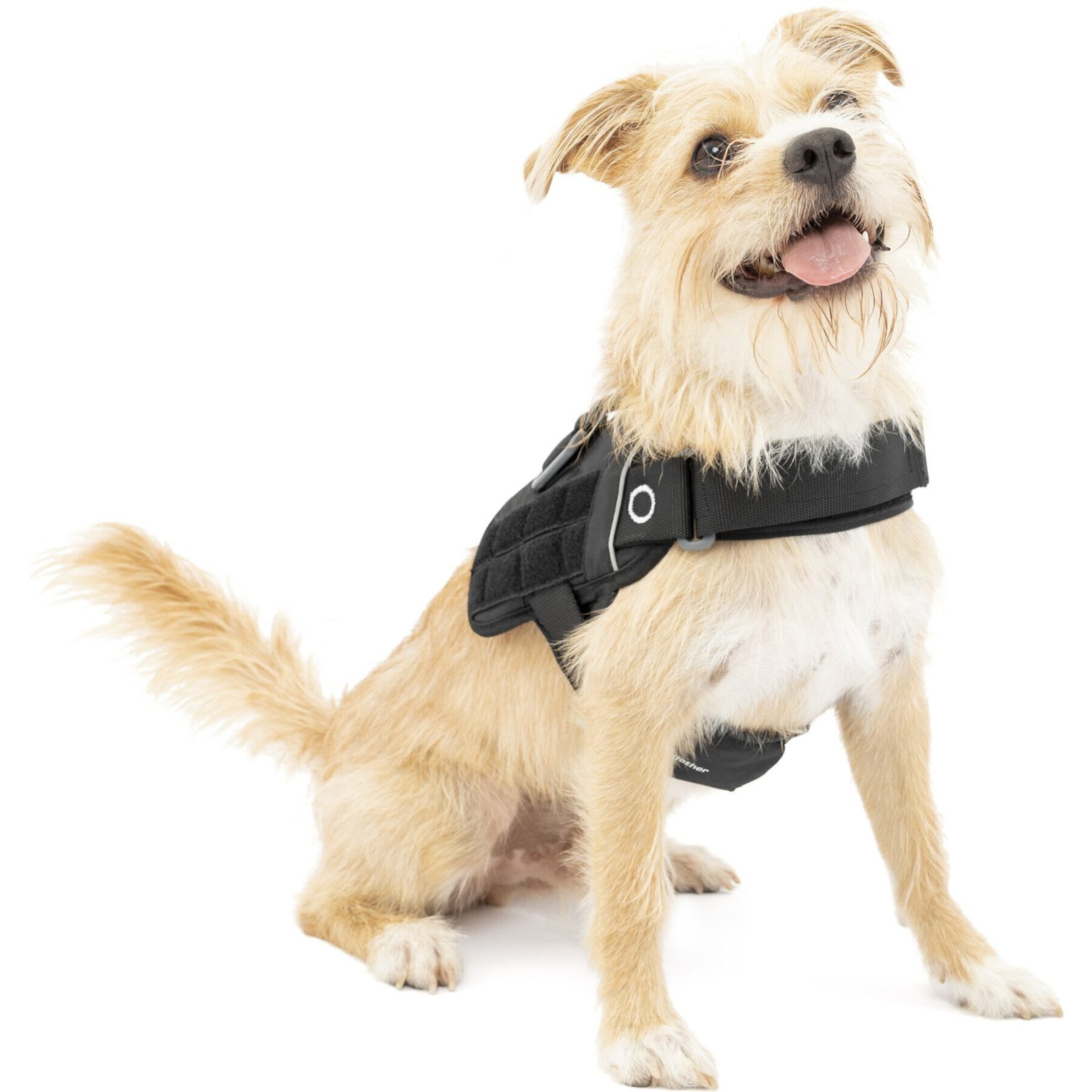 Kurgo RSG Townie Polyester Reflective Back Clip Dog Harness Kurgo