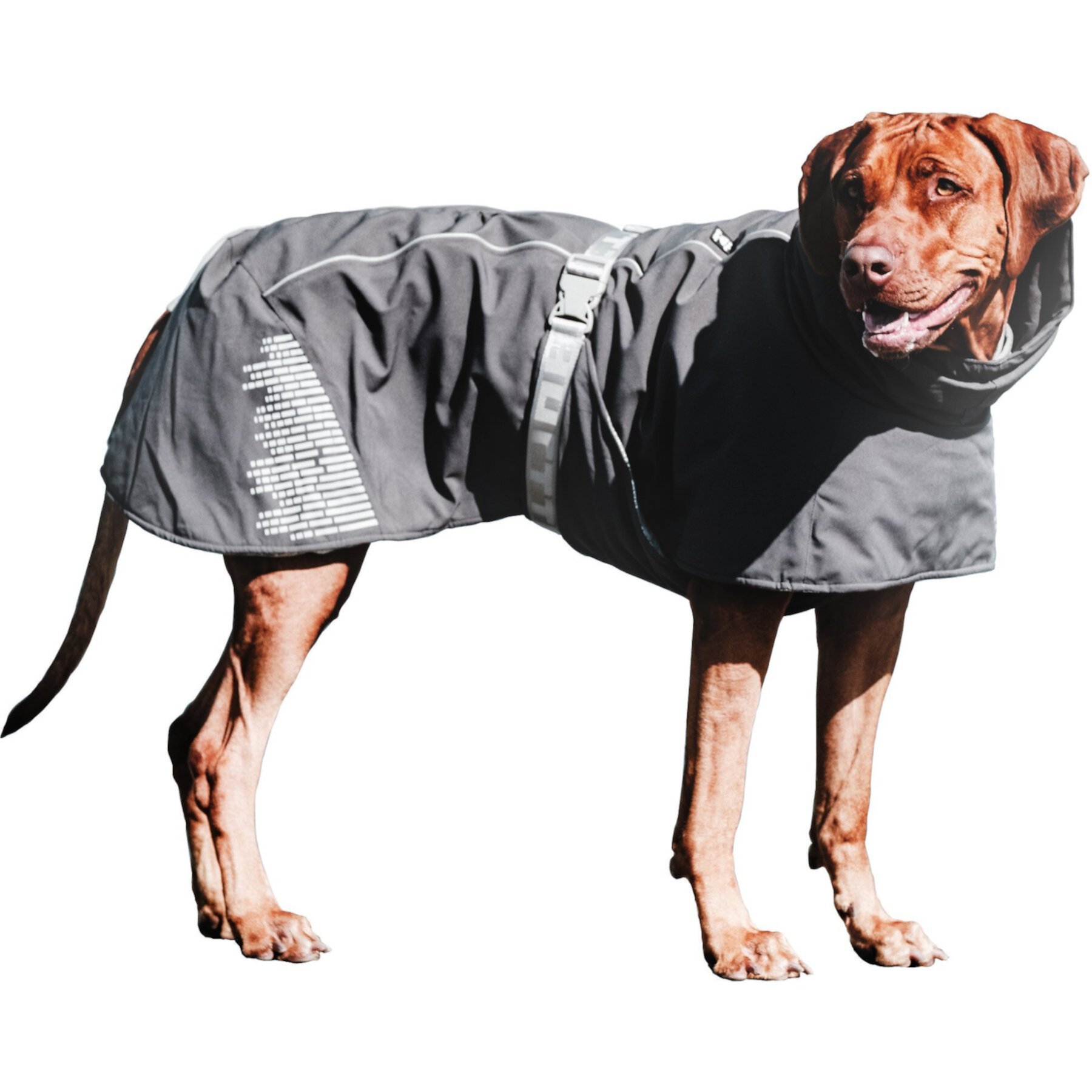 Hurtta Extreme Warmer Insulated Dog Parka Hurtta