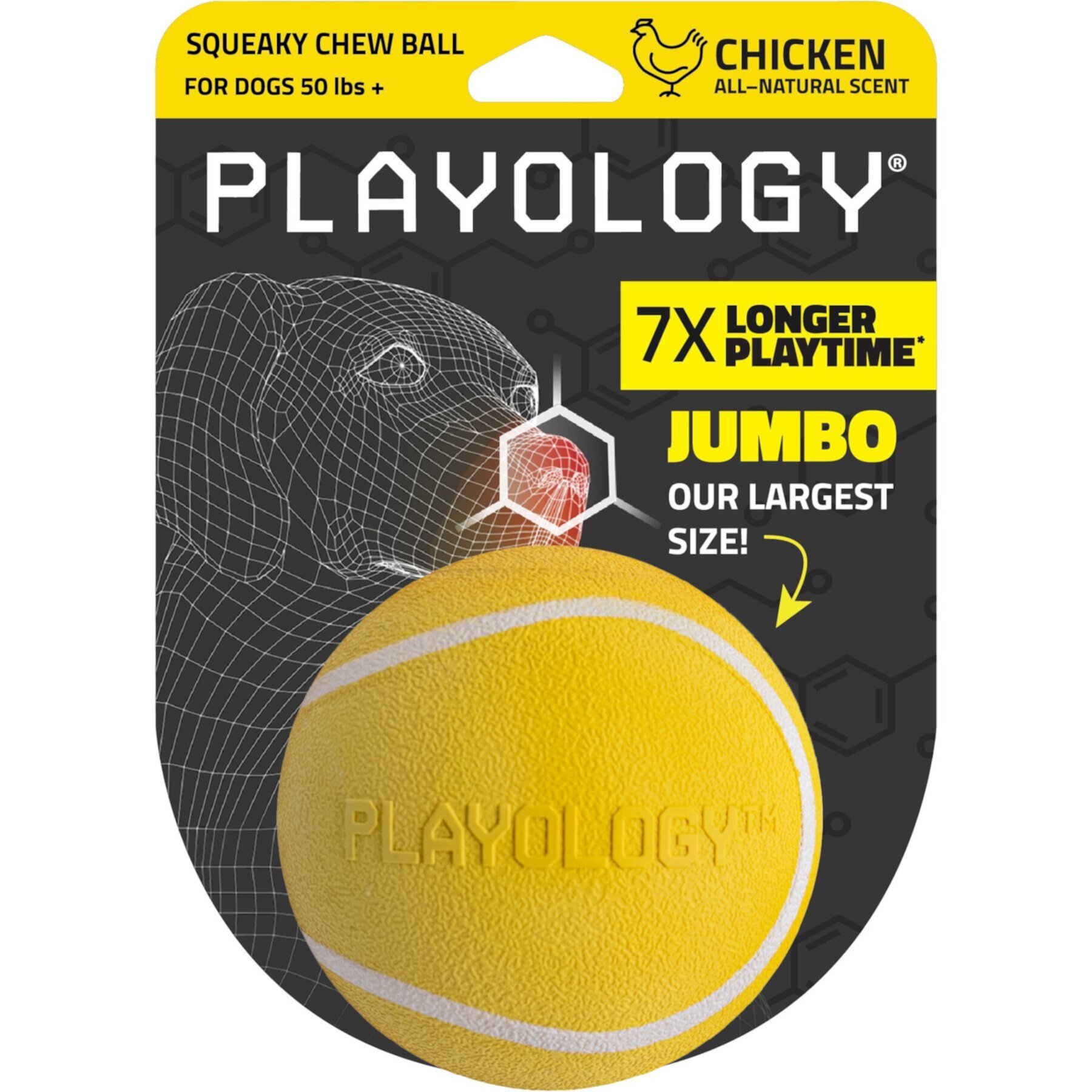 Playology All Natural Chicken Scented Squeaky Dog Chew Ball Playology