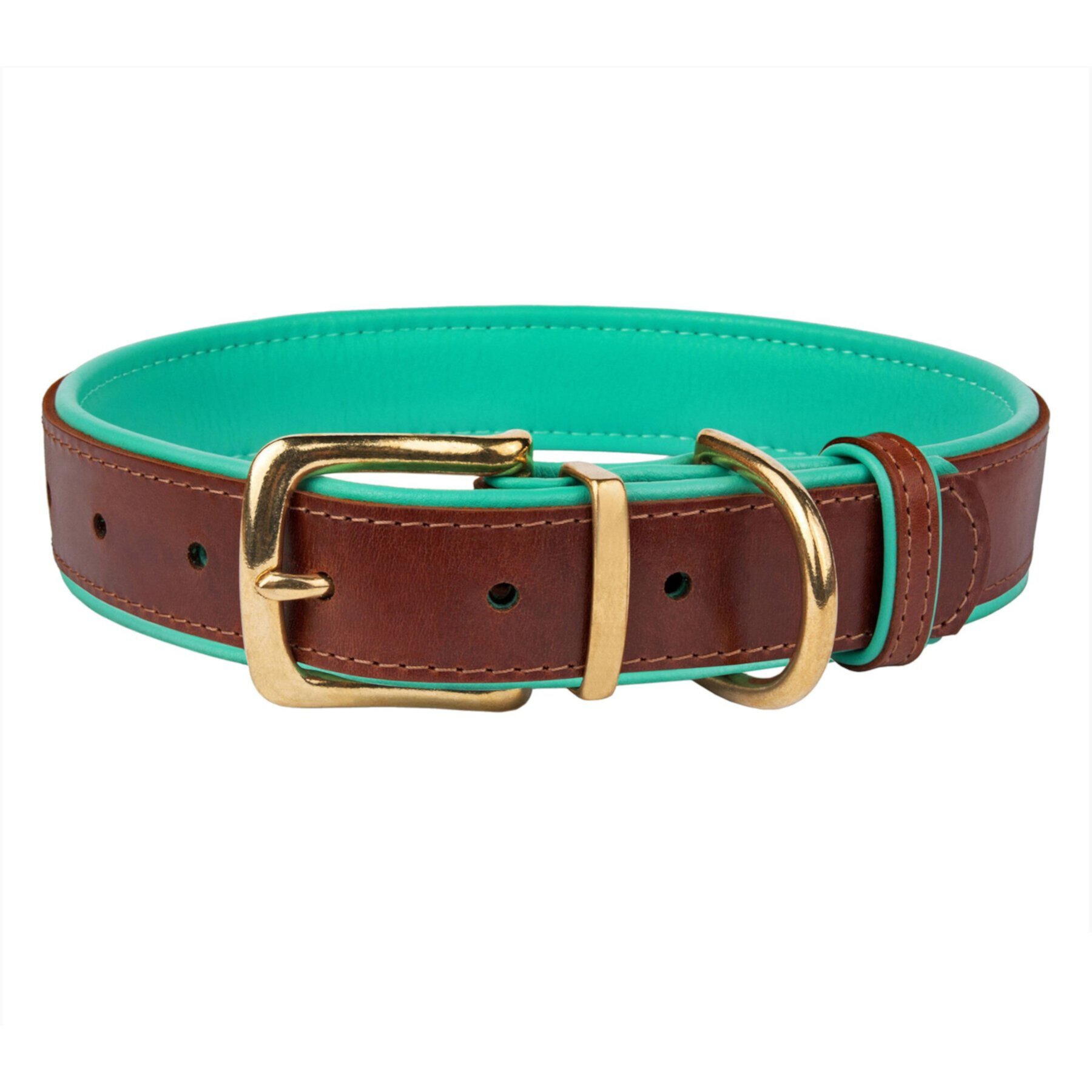 CollarDirect Soft Padded Leather Dog Collar CollarDirect