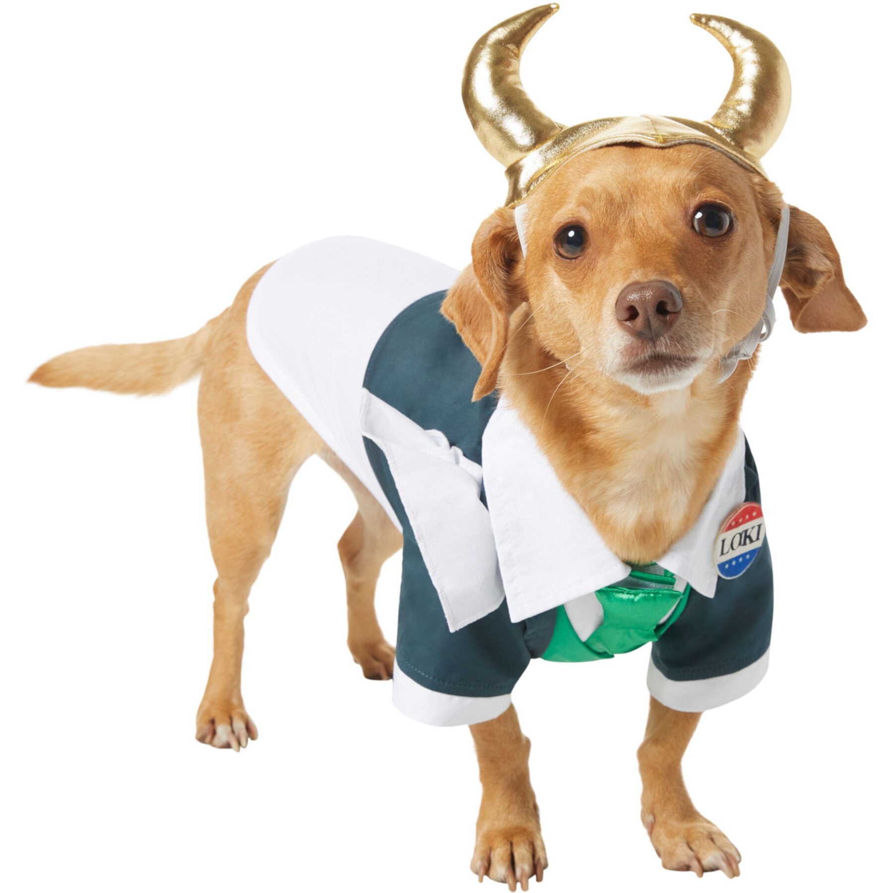 Marvel 's Loki President Dog & Cat Costume Marvel