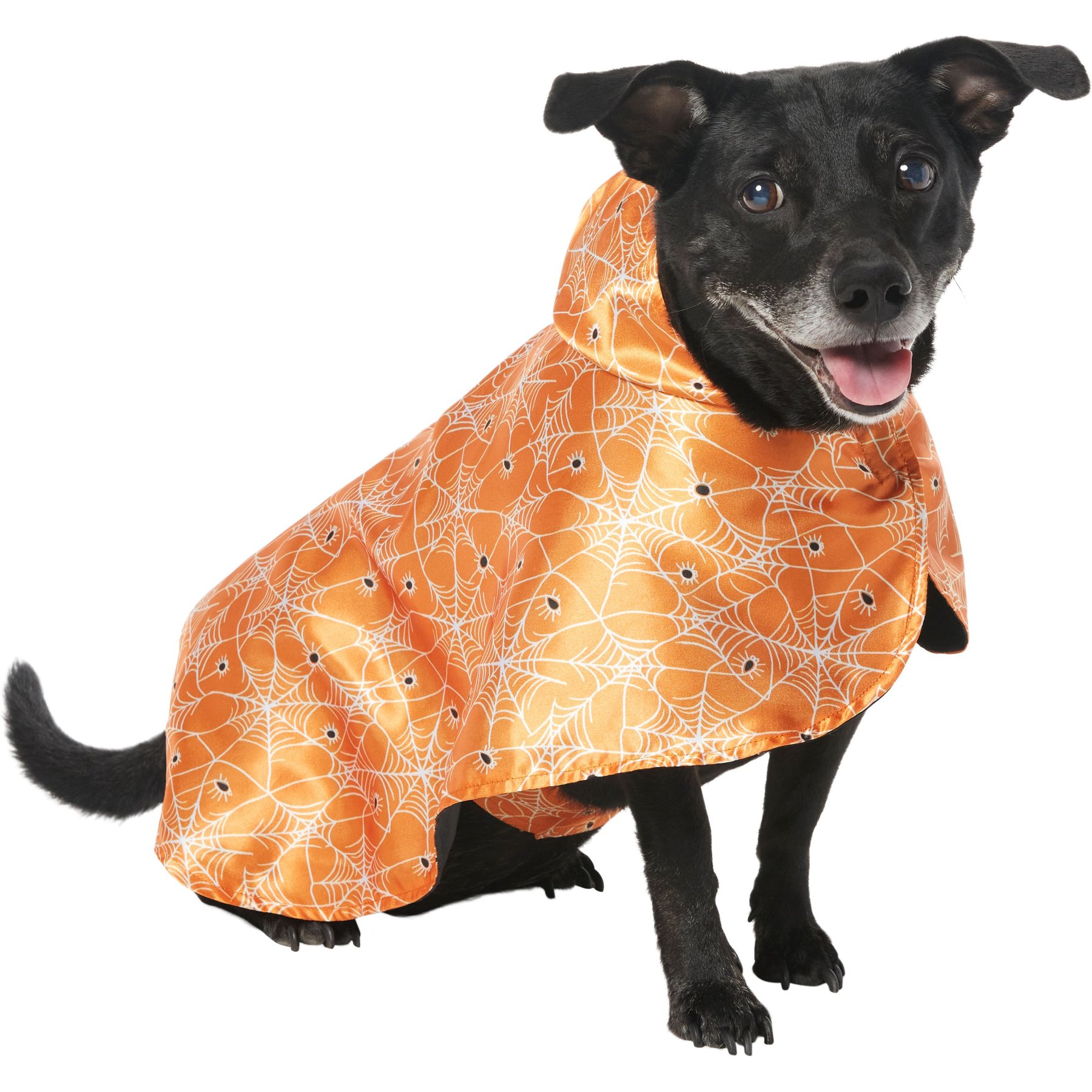 Frisco Spider Webbed Dog & Cat Costume Cape Frisco